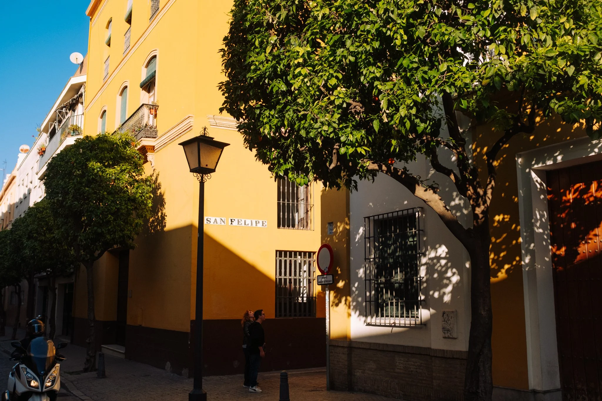 DSCF4440.jpg