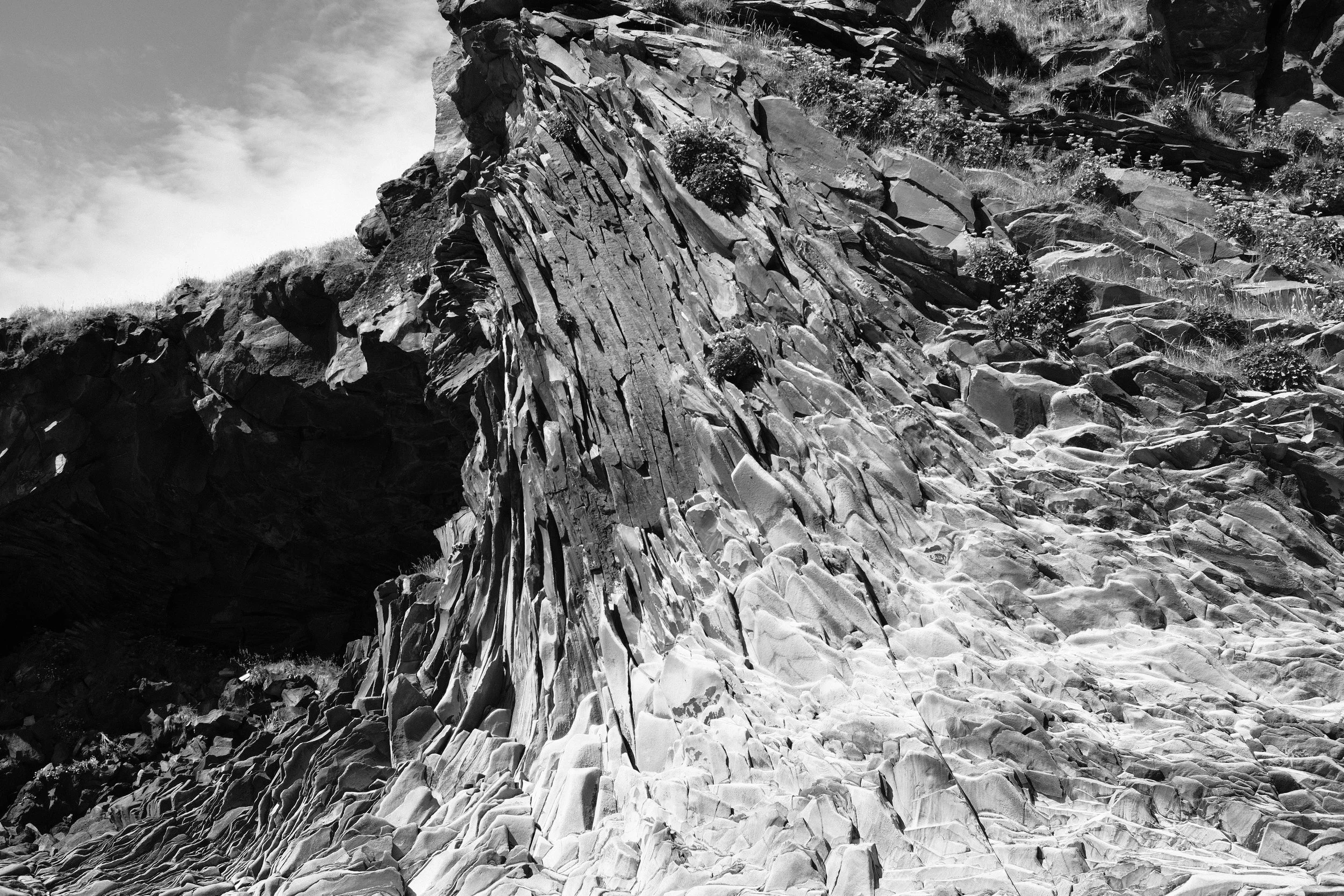 DSCF5178.JPG