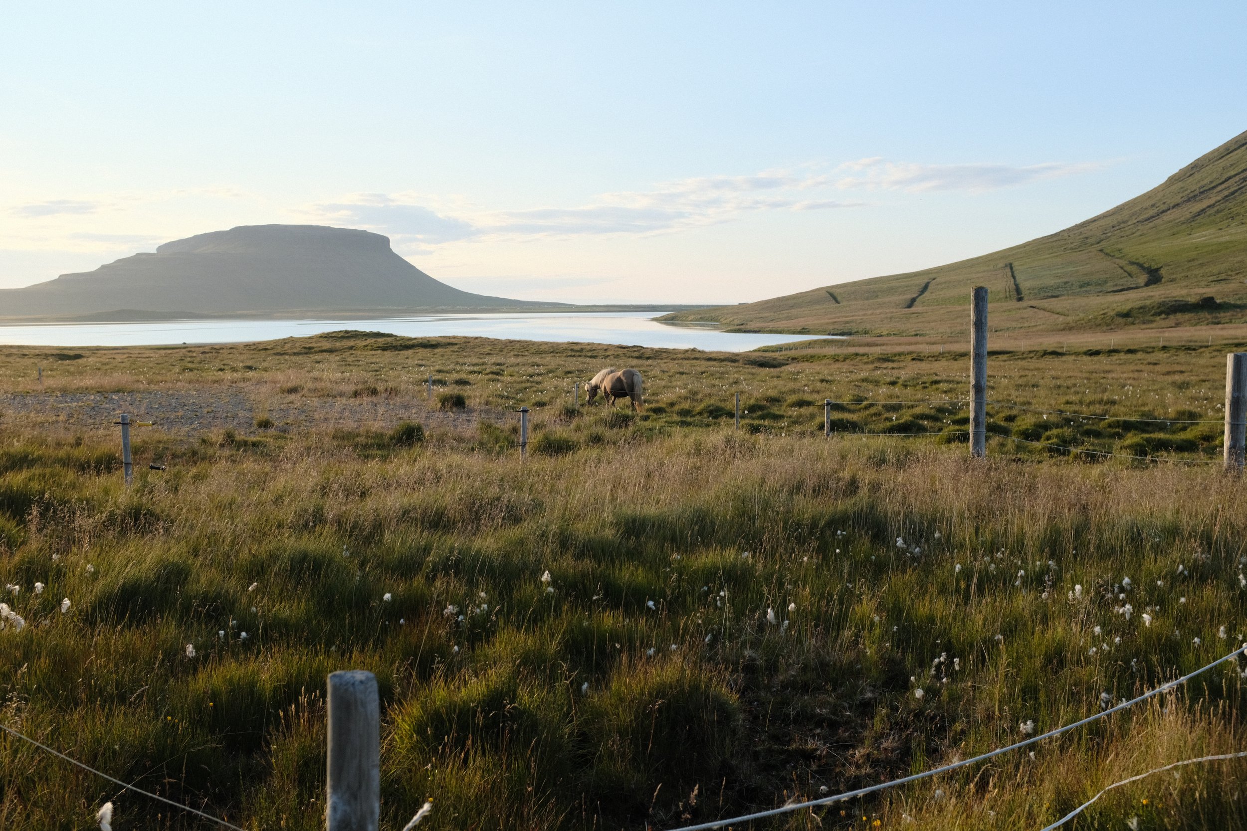 DSCF4813.JPG
