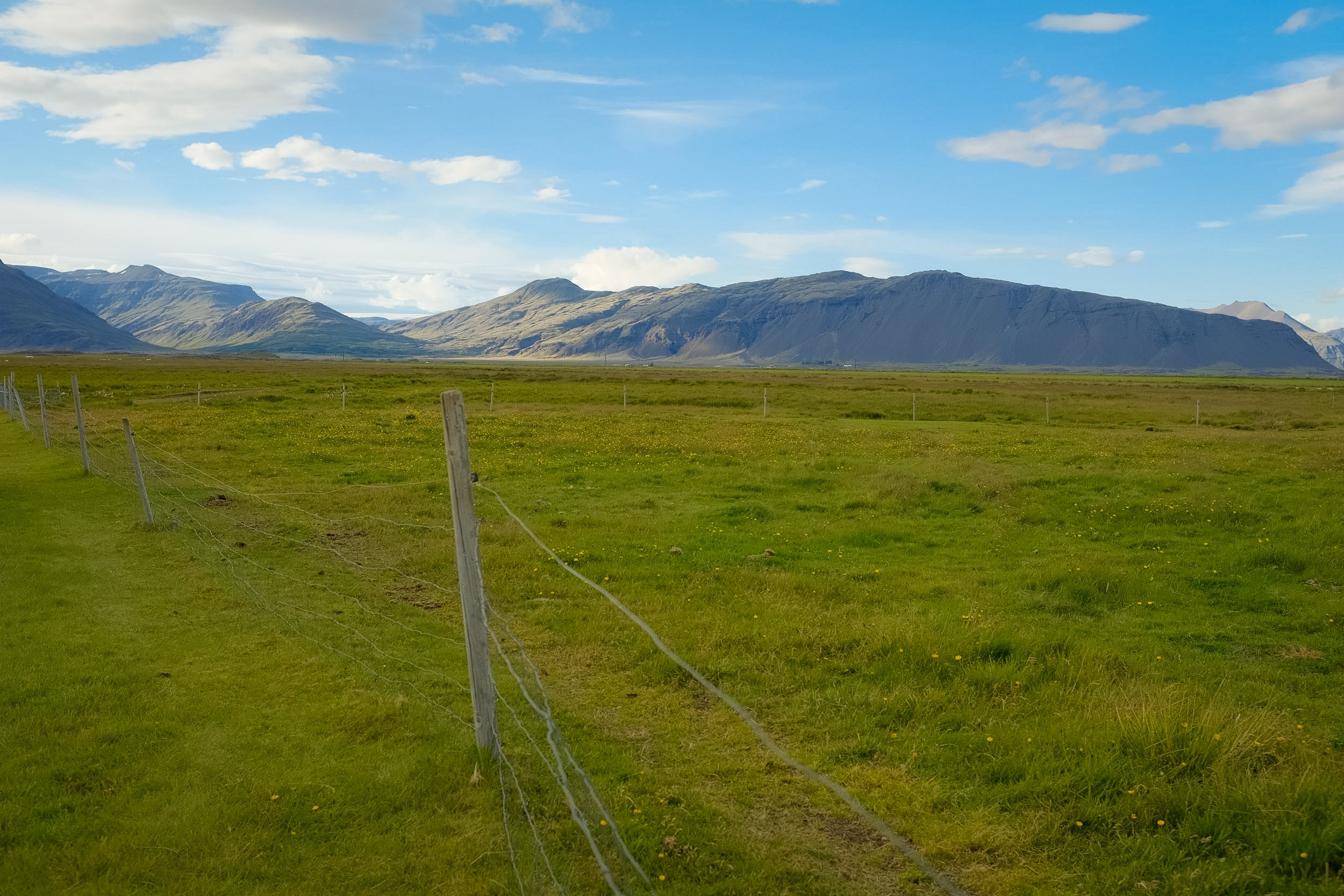 DSCF4659.jpg