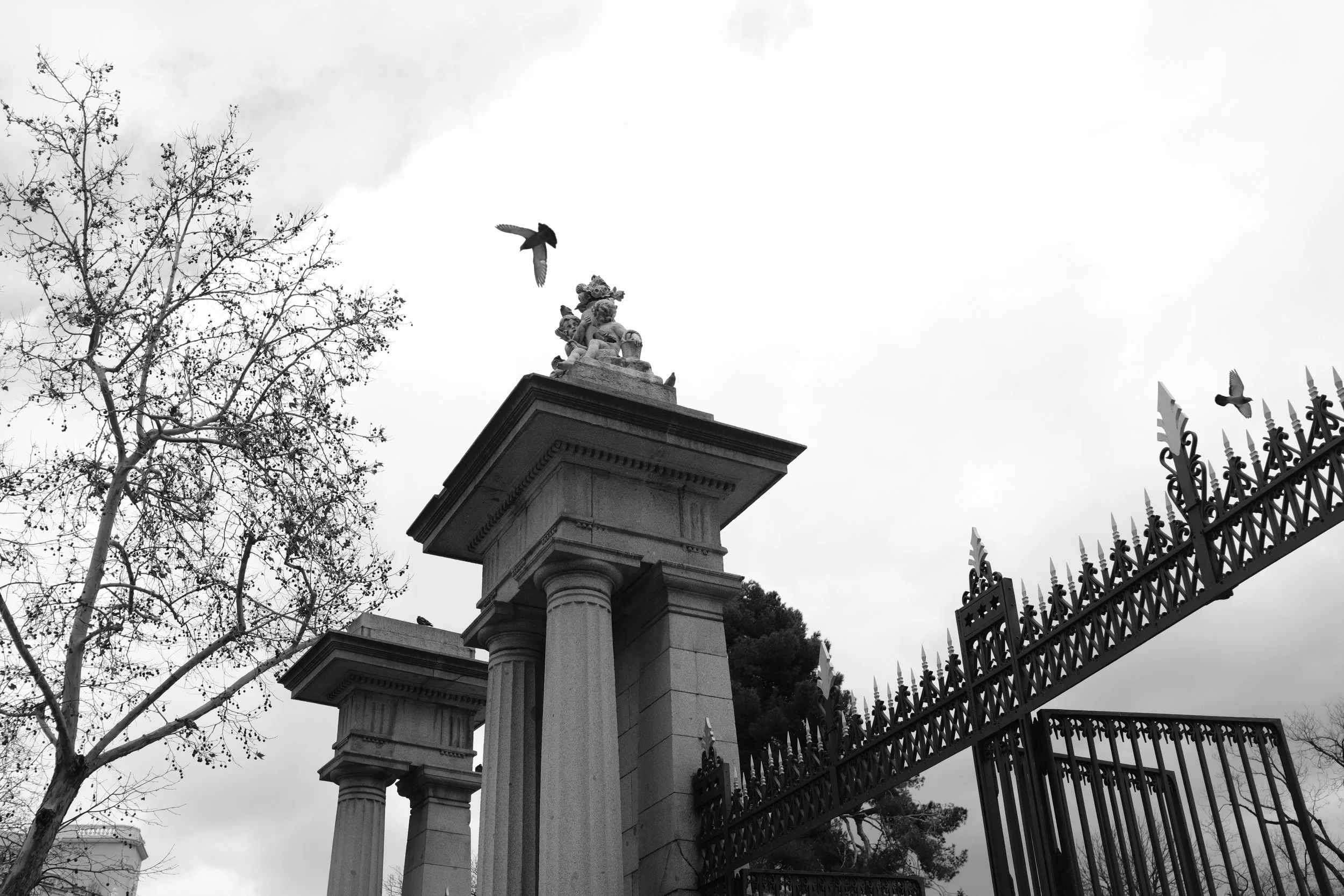 DSCF3500.JPG