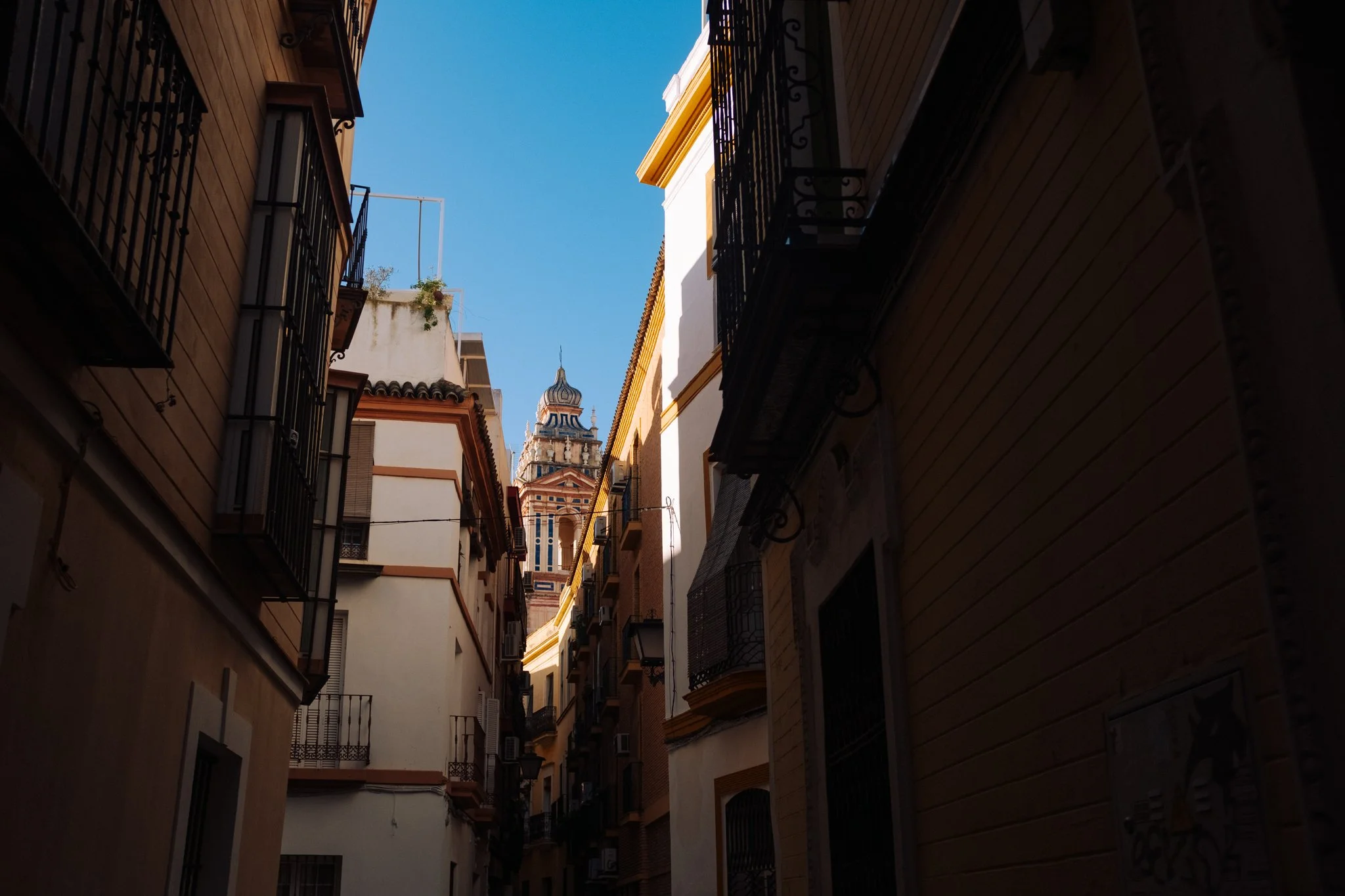 DSCF4434.jpg