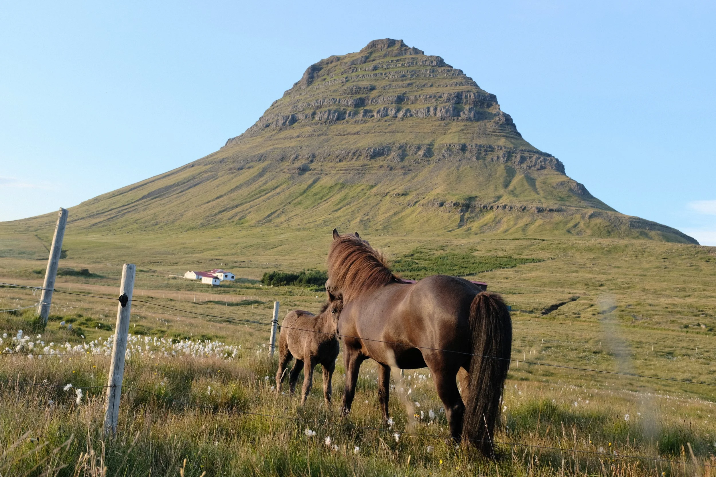 DSCF4838.JPG