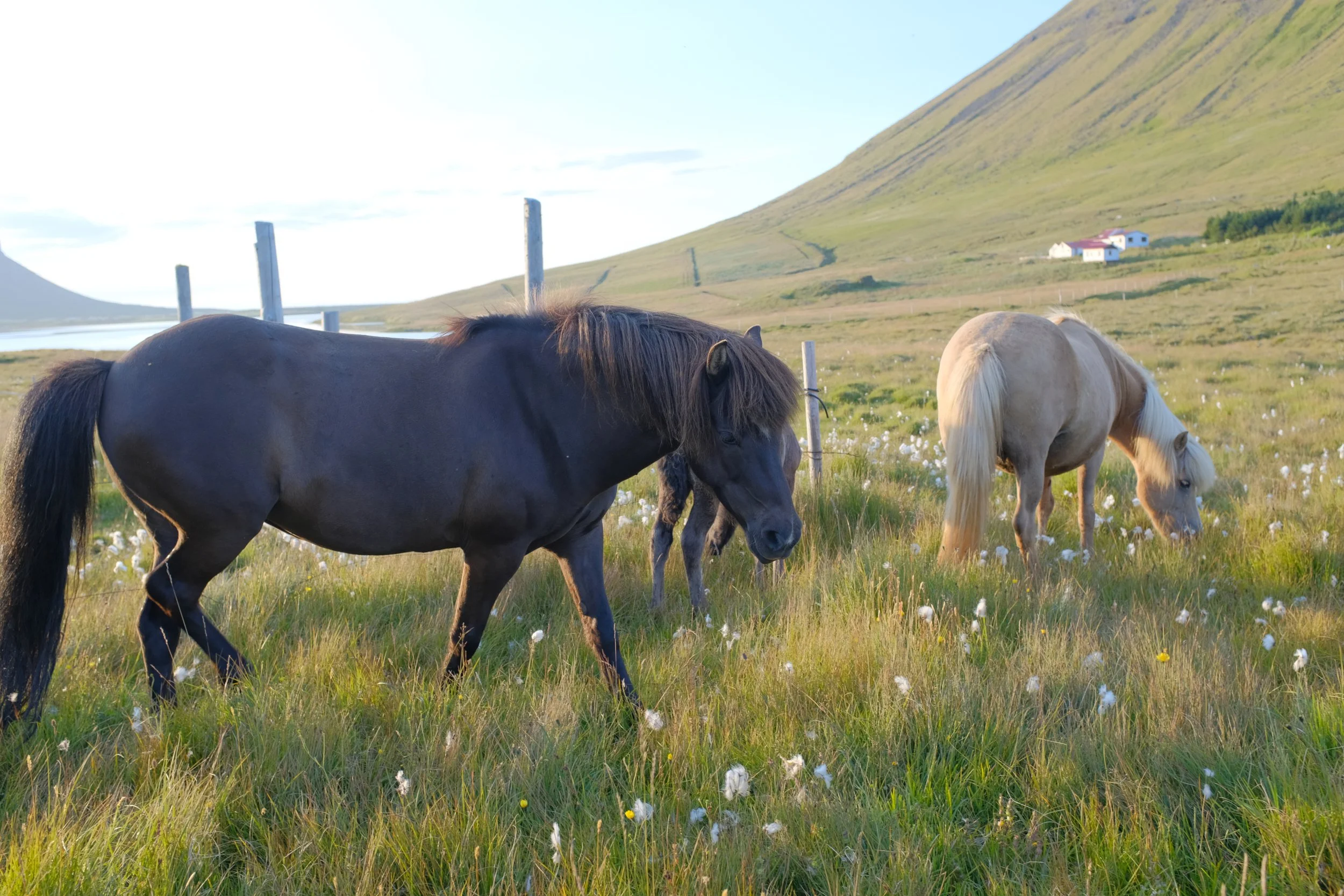 DSCF4801.JPG