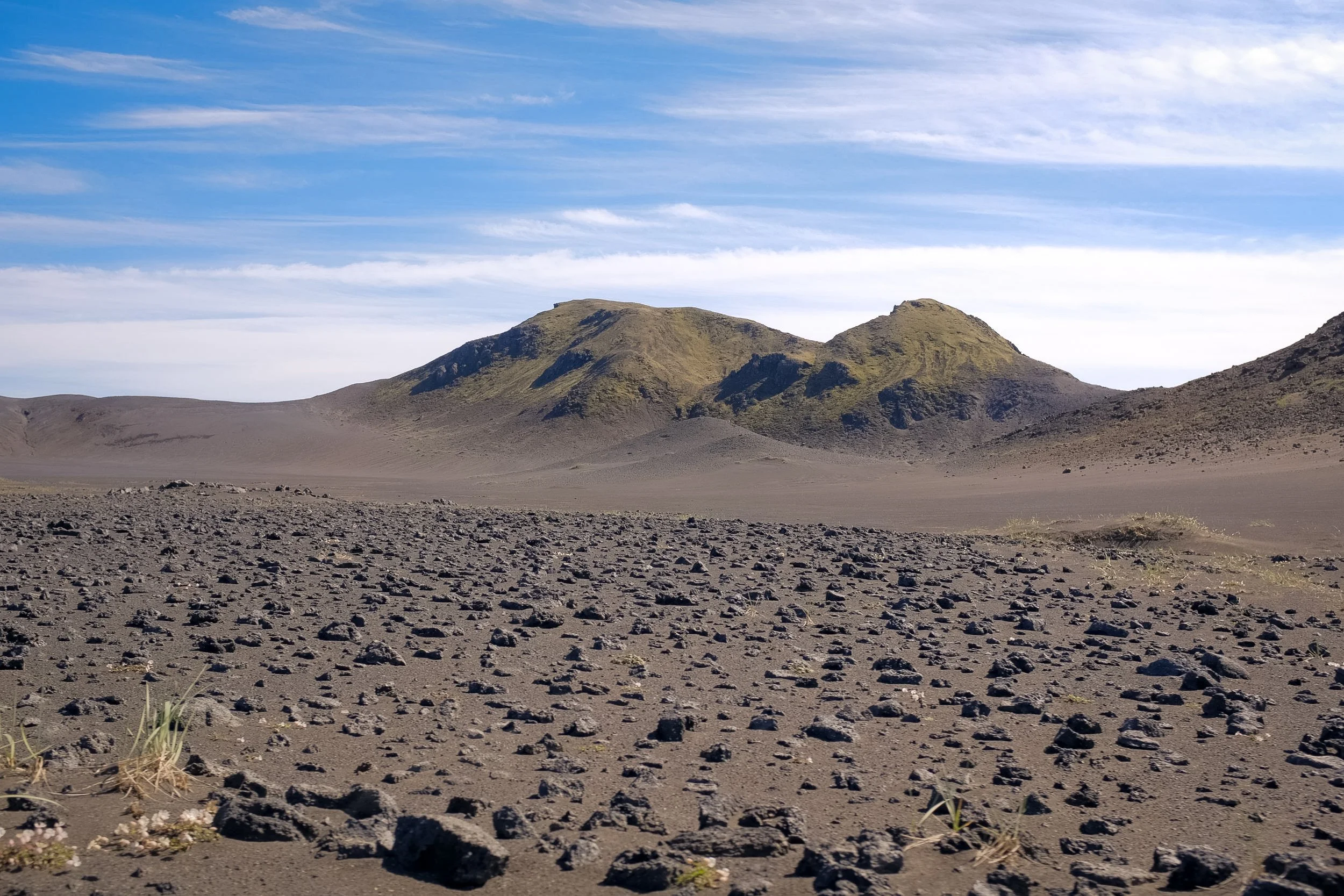 DSCF4477.jpg