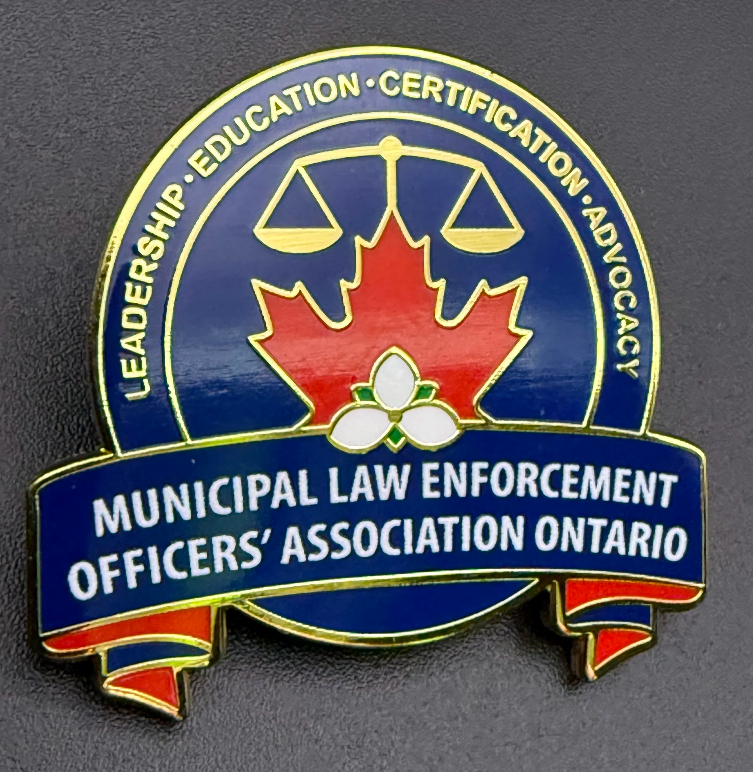 Lapel Pin, Municipal By-Law, Ontario Challenge Coin, Law Enforcement