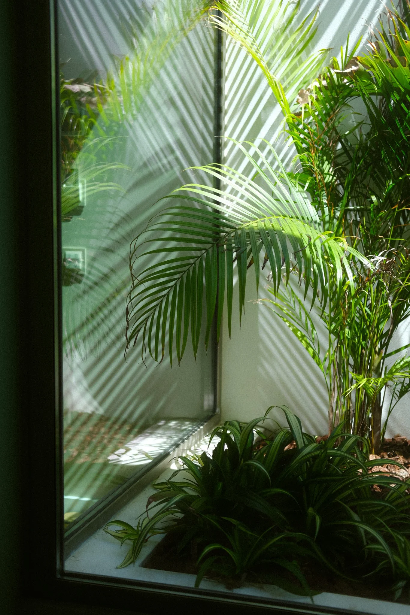 DSCF2542 2.JPG