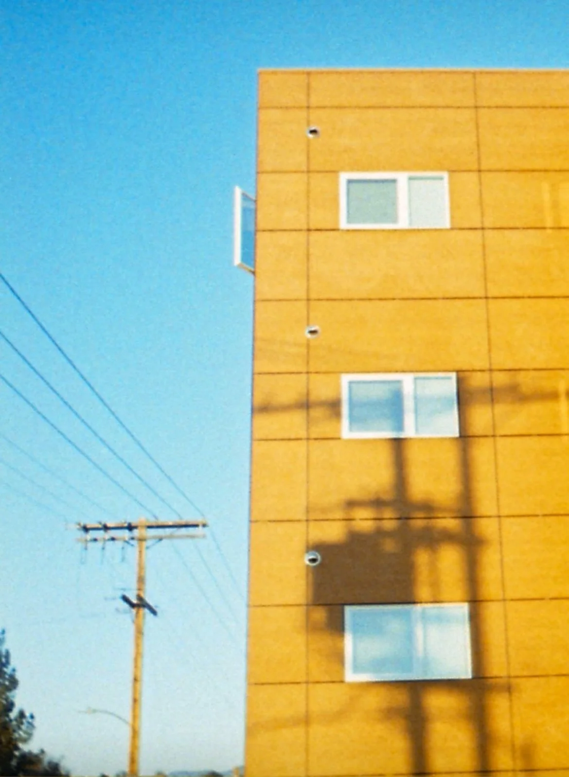 IMG_9293.jpeg
