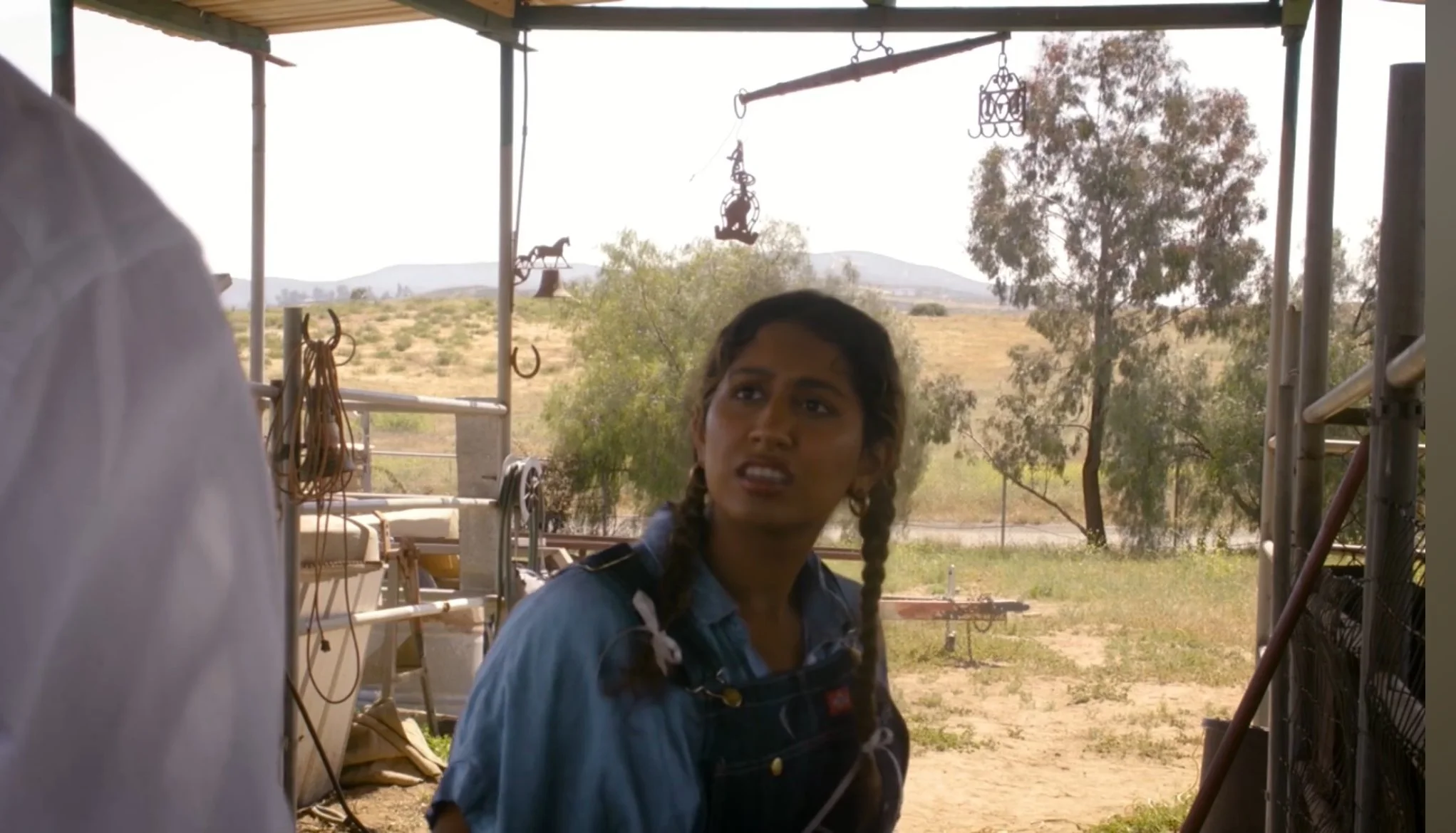 IMG_9170.jpeg