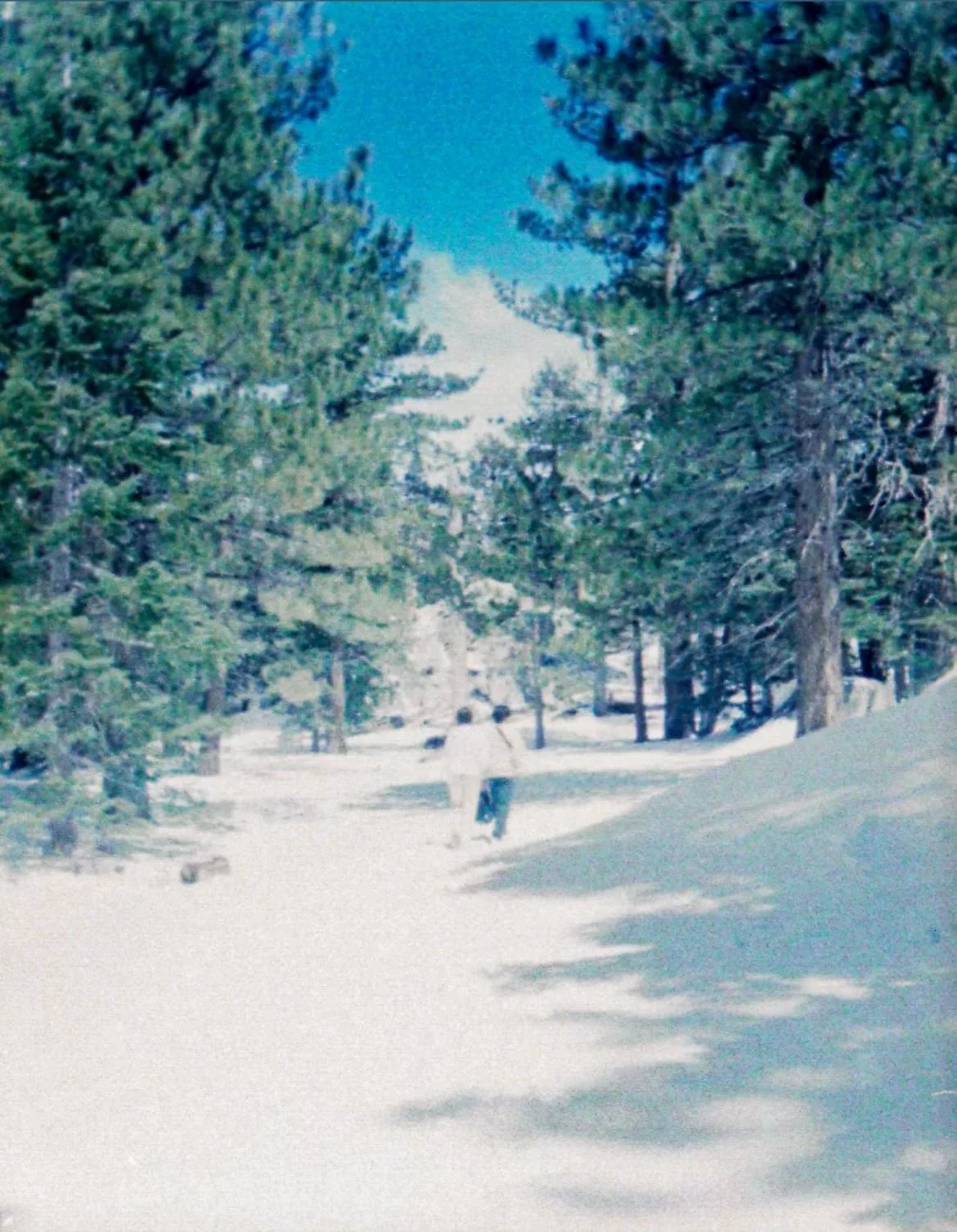 IMG_9309.jpeg