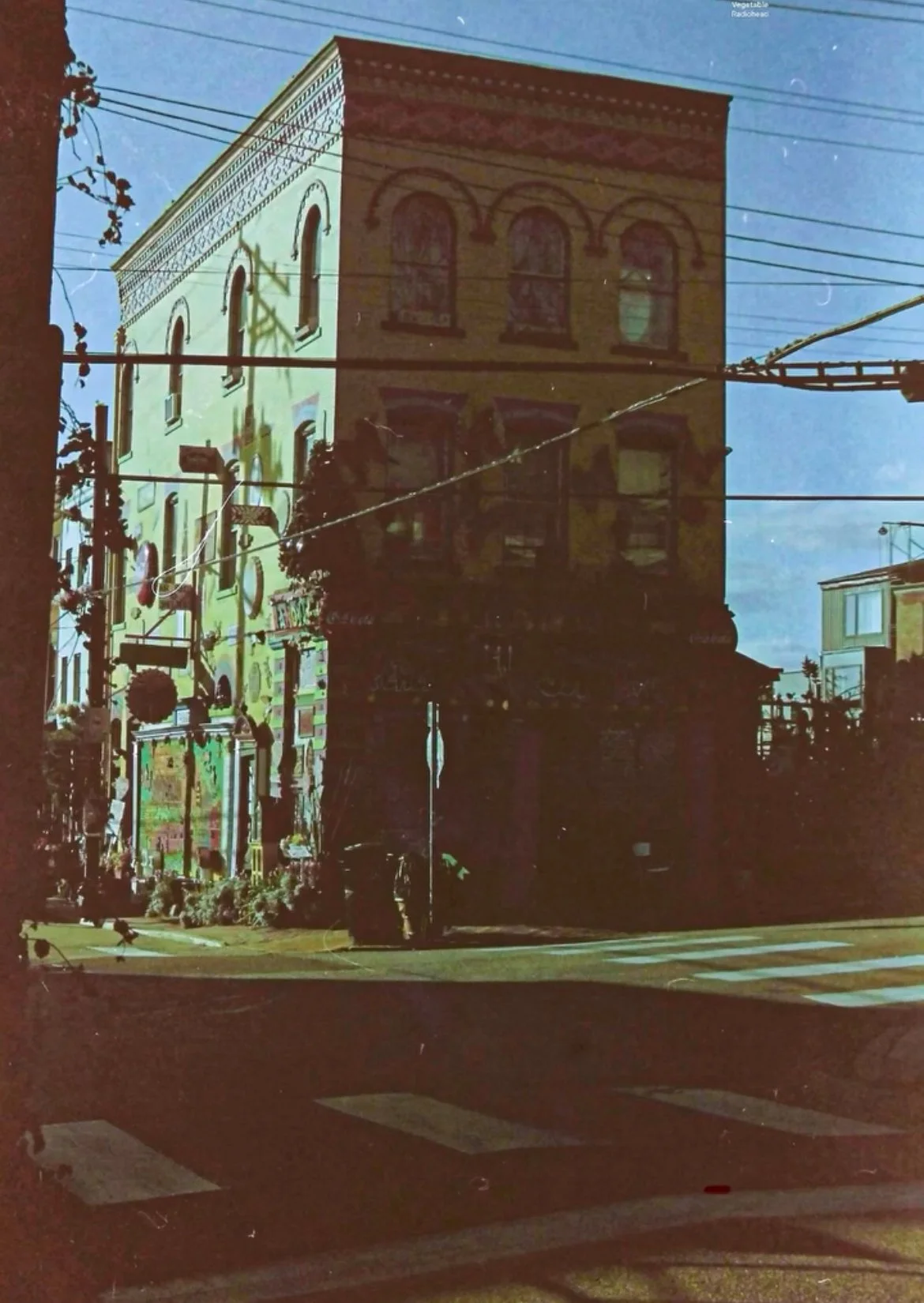IMG_9235.jpeg