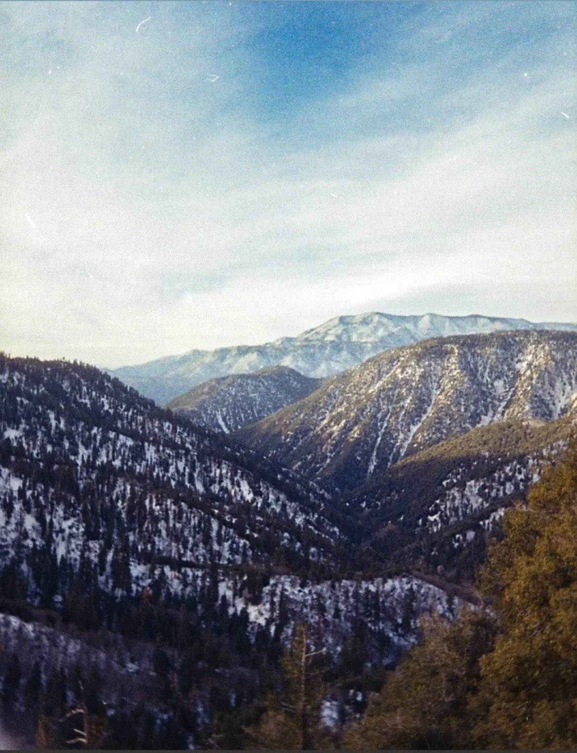 Nature