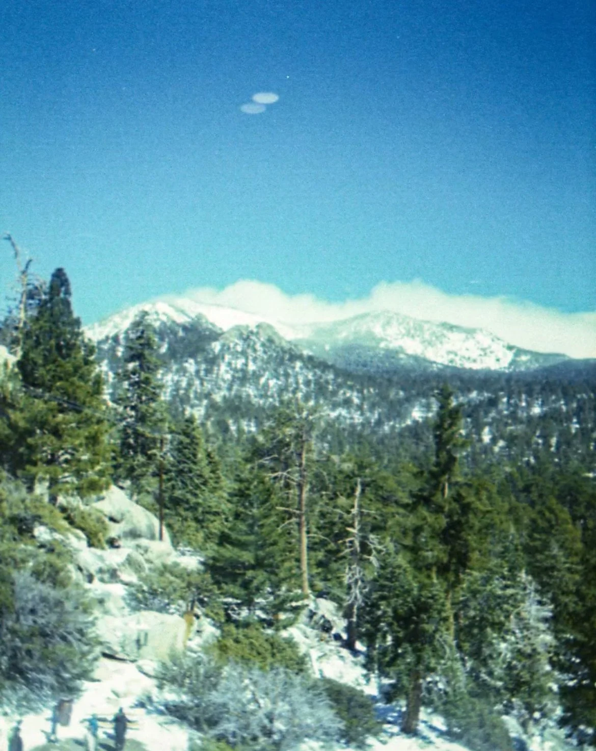 IMG_9302.jpeg