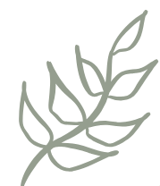 Outline of a leaf with multiple smaller leaves attached