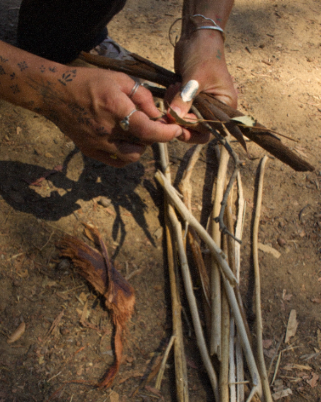 Person with tattoos on hands and silver rings on fingers holding dry sticks or reeds, with a pile of similar sticks on the ground, in a dry, earthy outdoor setting.
