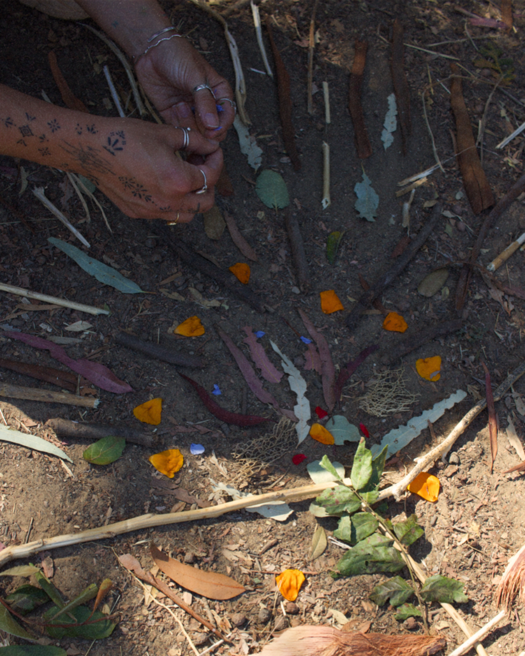 A person planting or tending to a small garden or plant in soil, with their hands near the ground, surrounded by various leaves and petals.