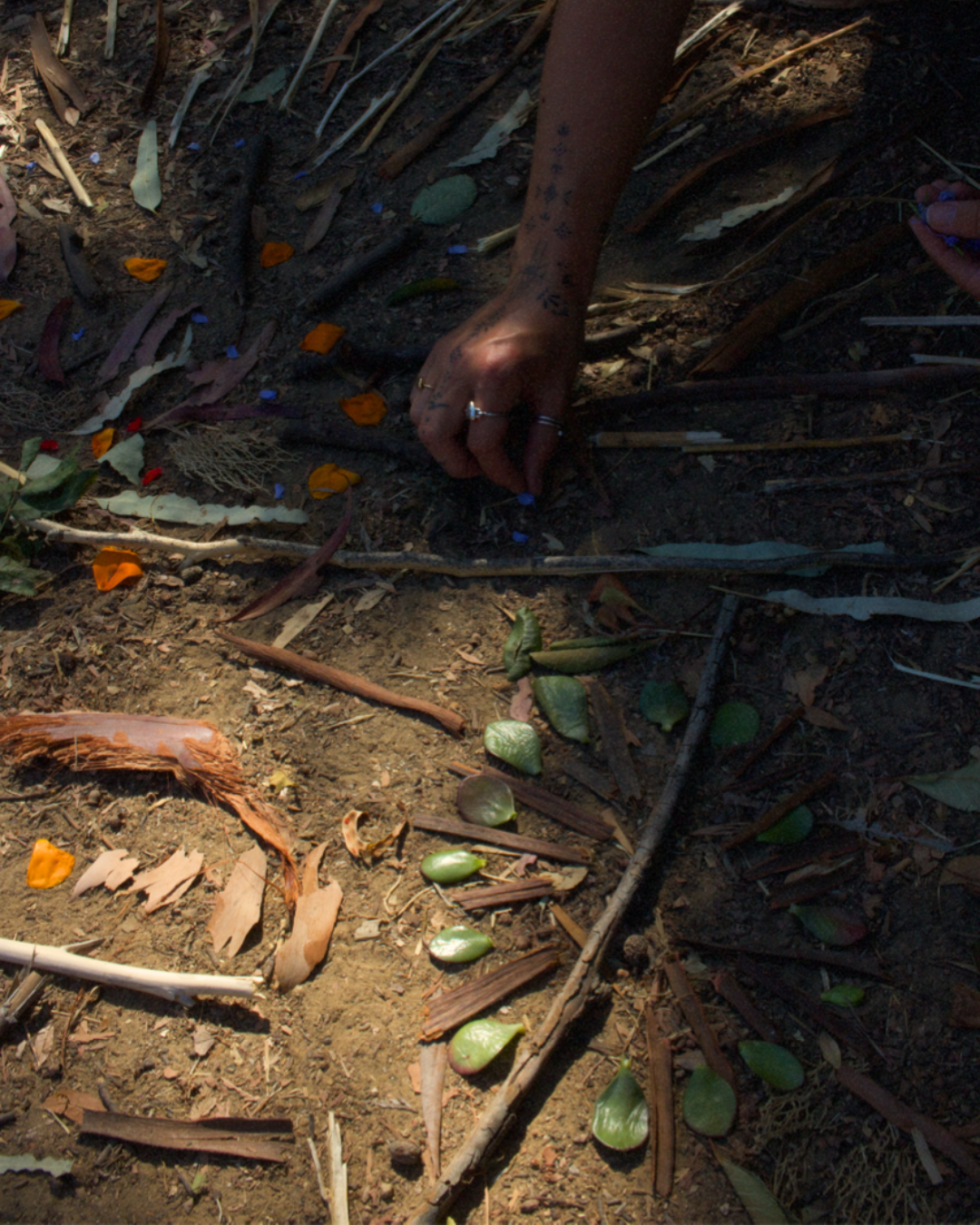 A person with tattoos on their hand and multiple rings is planting a small seed or seedling into the soil among dry leaves and sticks. The scene appears to be outdoors, possibly in a garden or natural setting.