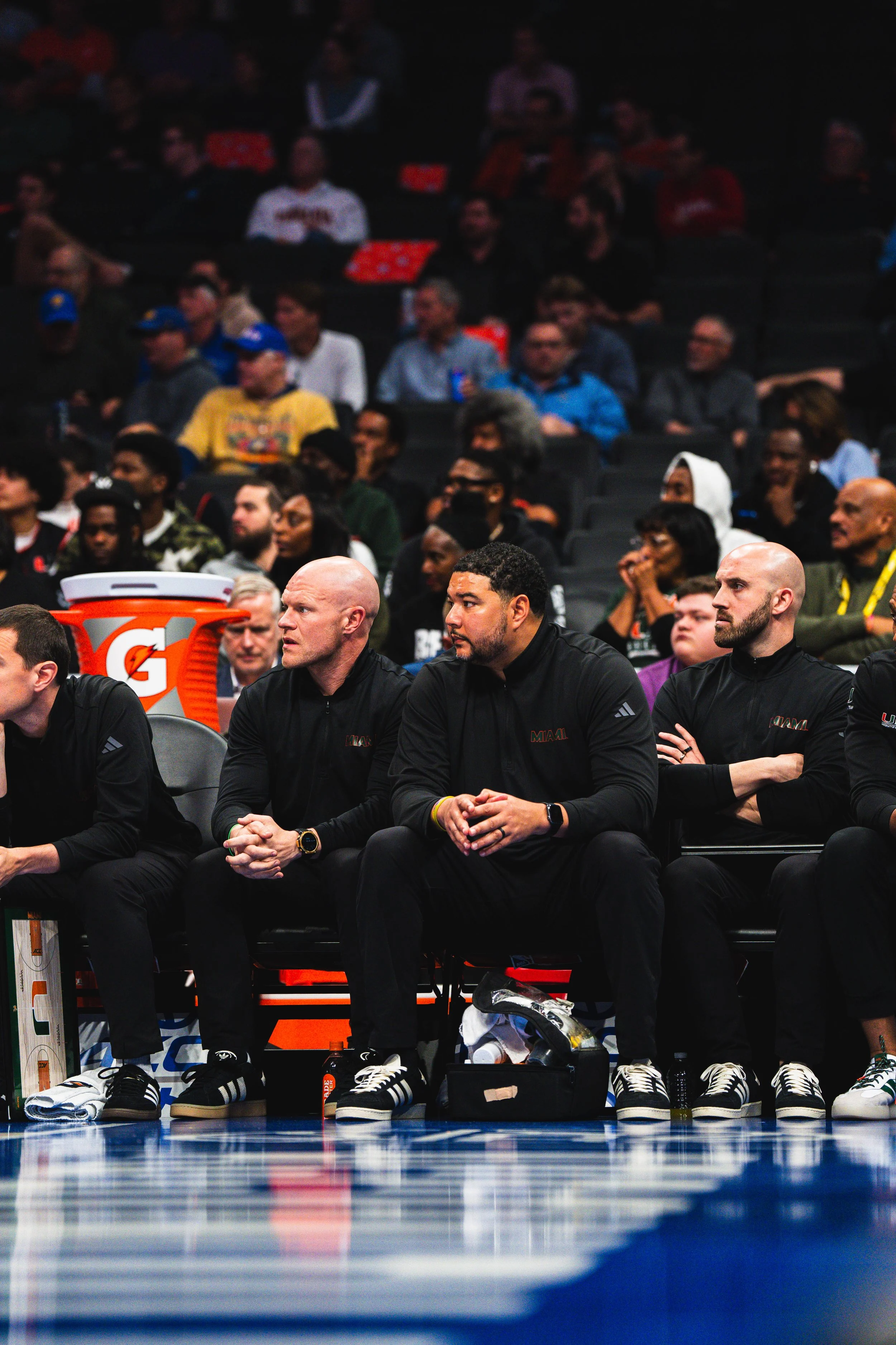 Performance staff members sitting courtside and Miami basketball game. 
