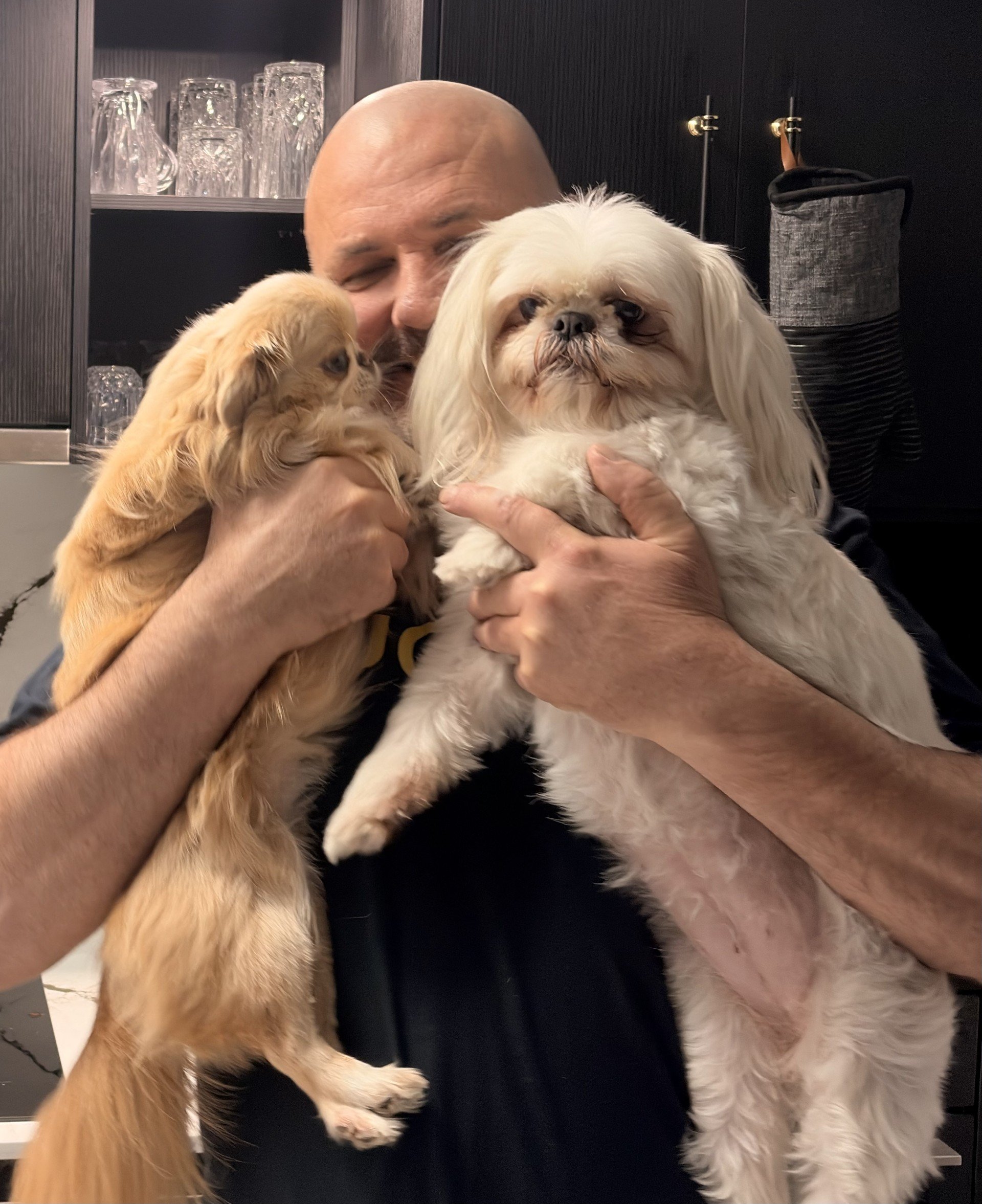 Dean from Inner City Maintenance on site at a Brisbane apartment with two dogs
