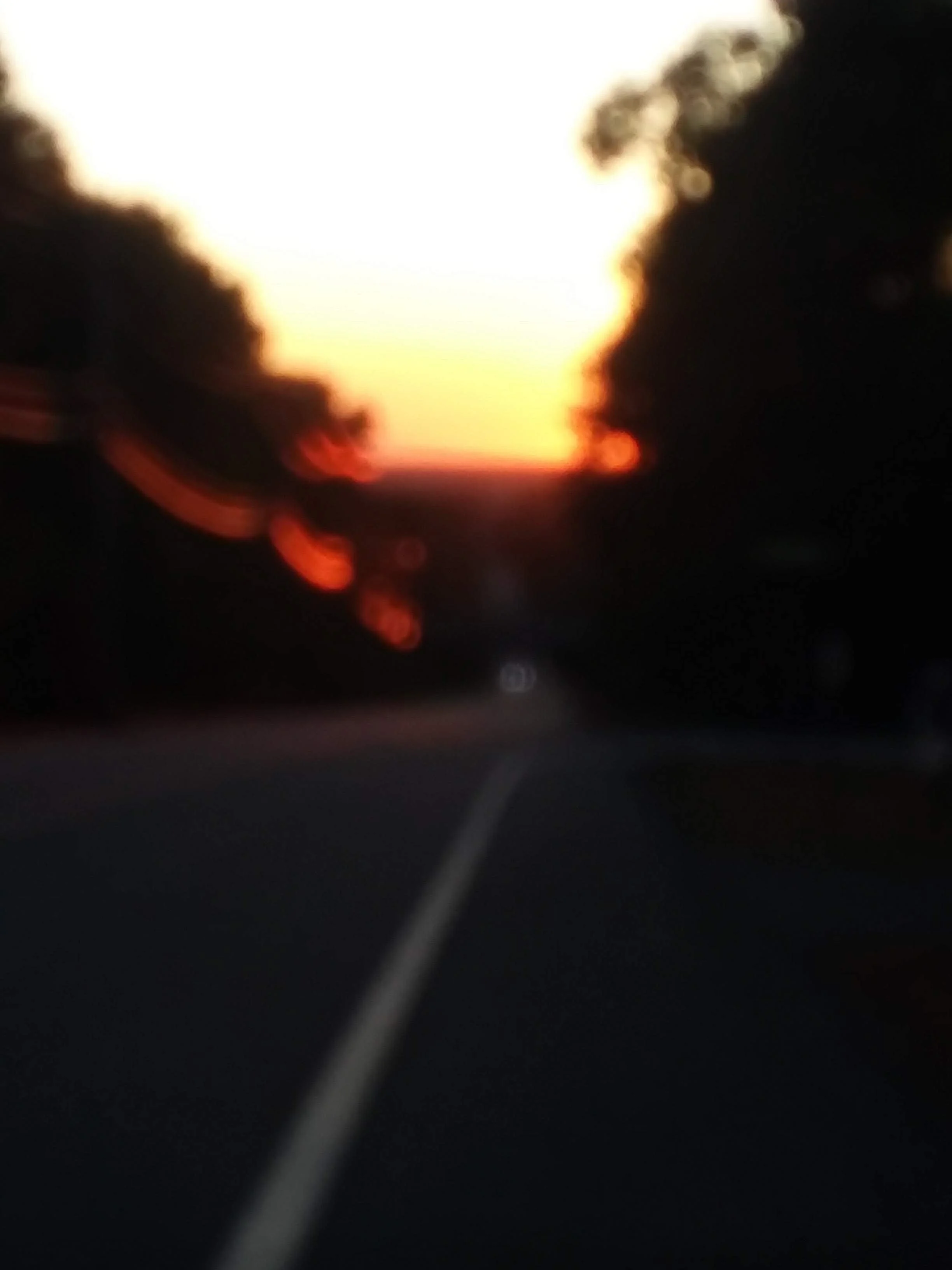 gob focuse .jpg