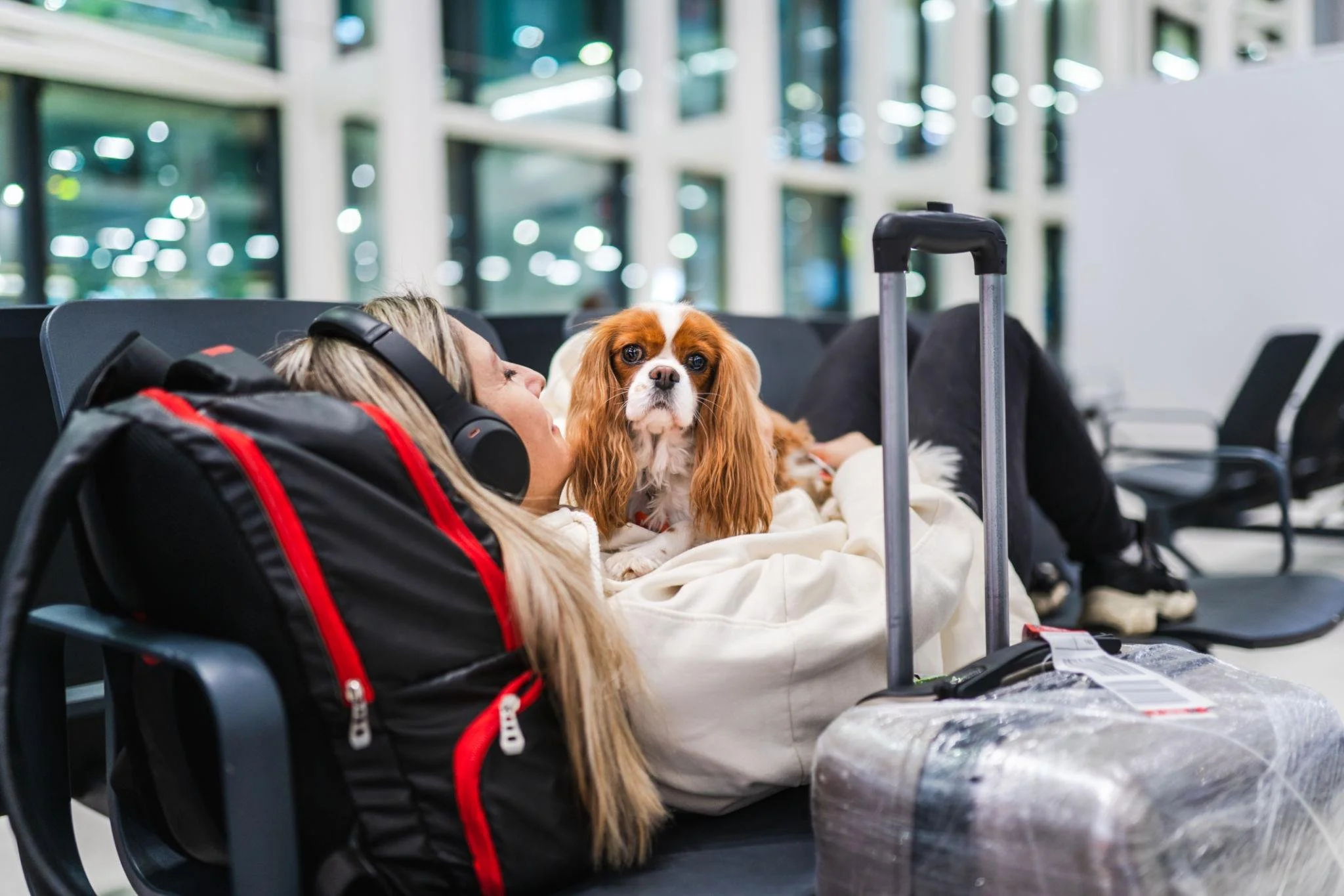 A woman lying on a bench at an airport with a Cavalier King Charles Spaniel dog resting on her chest. The woman is wearing headphones, and there is a rolling suitcase next to them. The background shows a modern airport terminal with large windows and blurred lights.
