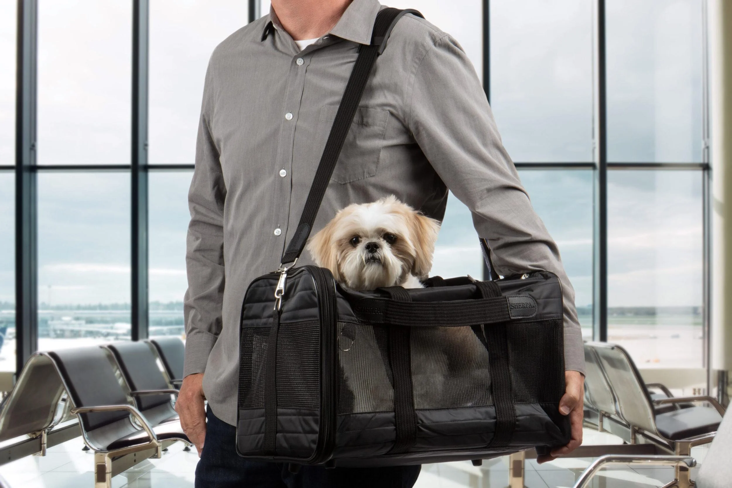 A person at an airport holding a dog carrier with a small dog inside. The person is dressed in a gray shirt, and the airport's seating area and large windows with a view of the tarmac are visible in the background.