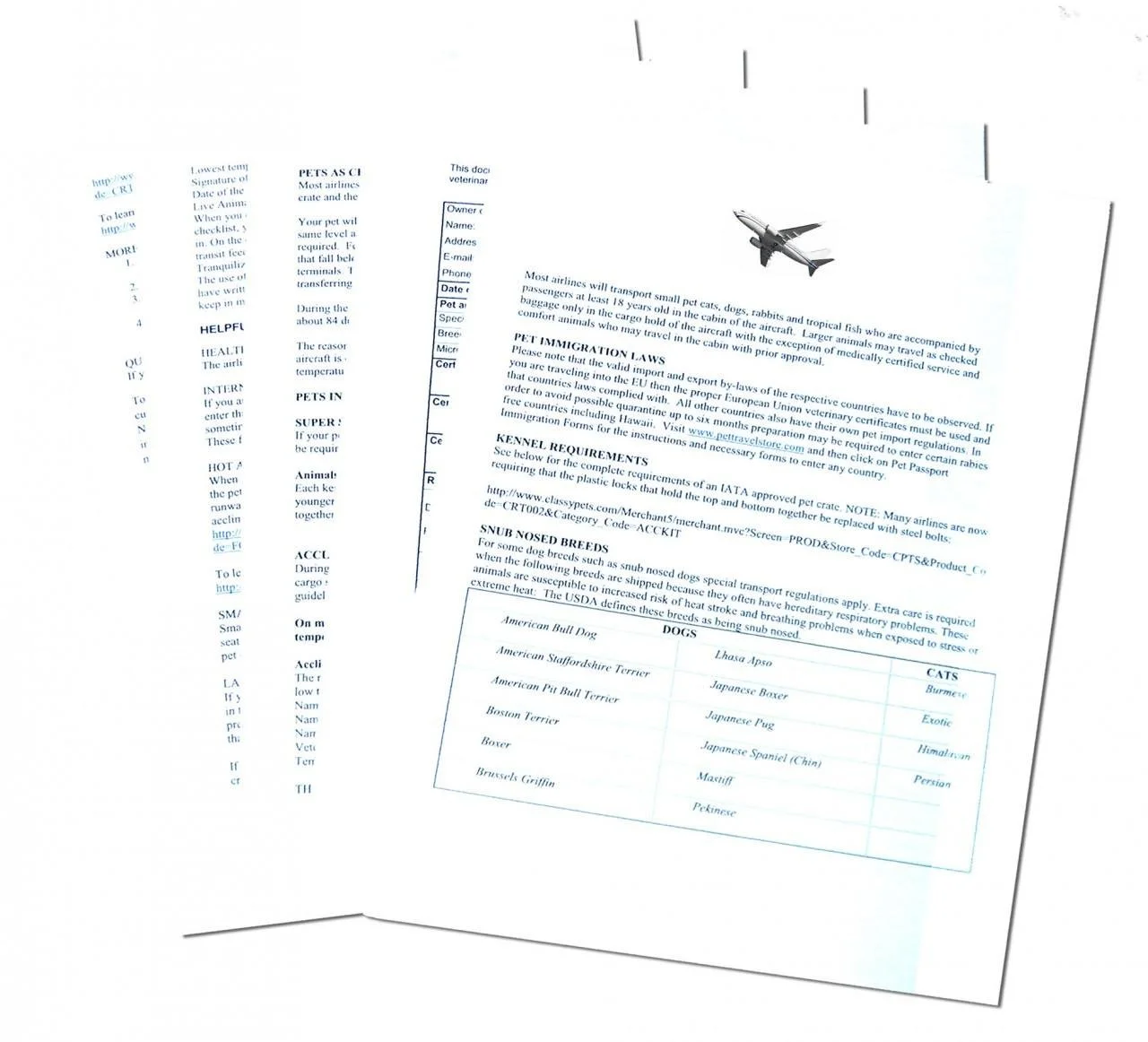 Consultation & Travel Assessment
