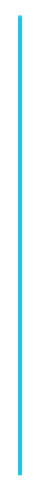 Vertical Blue Line