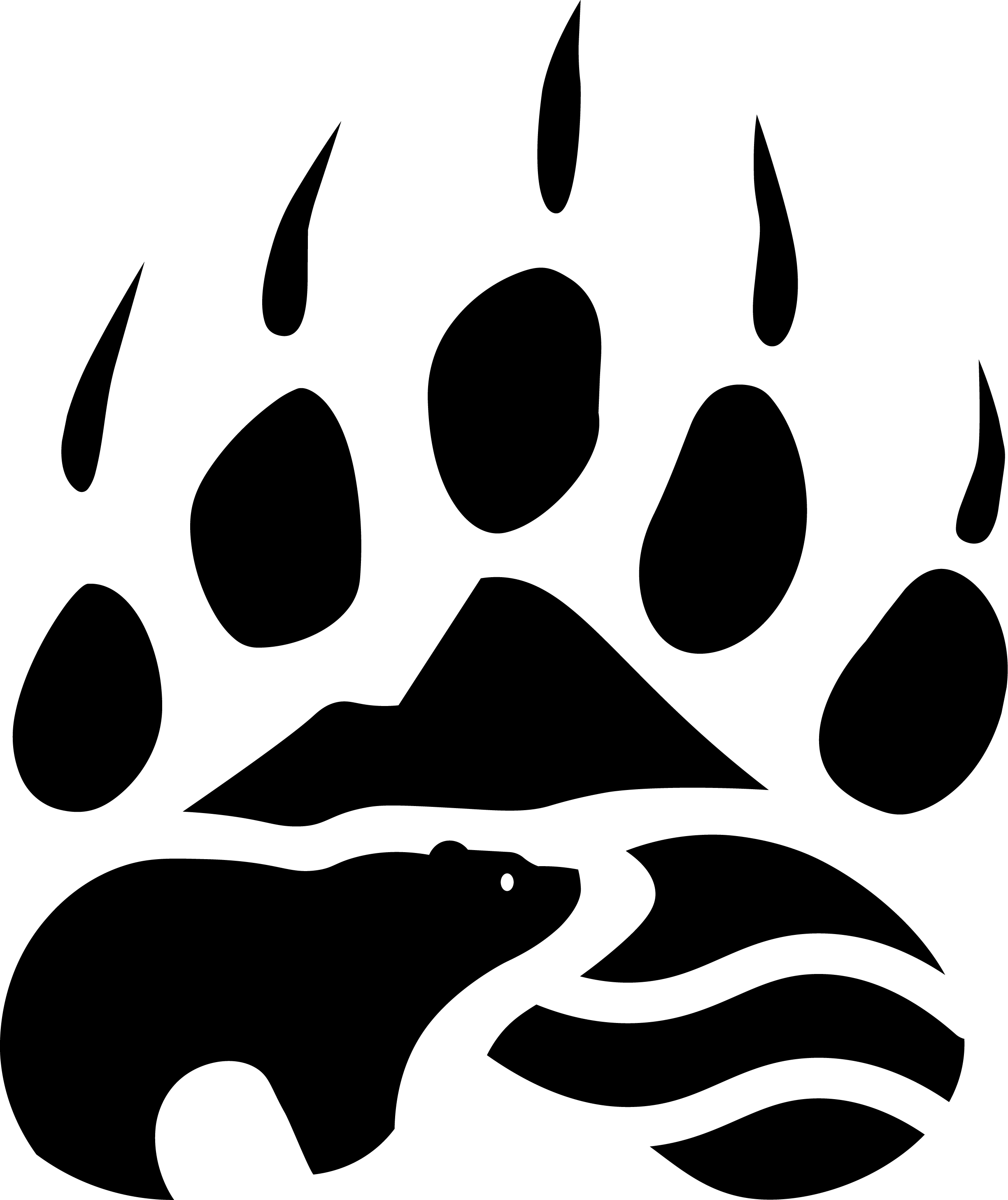 Wild Haus Logo of a bear paw