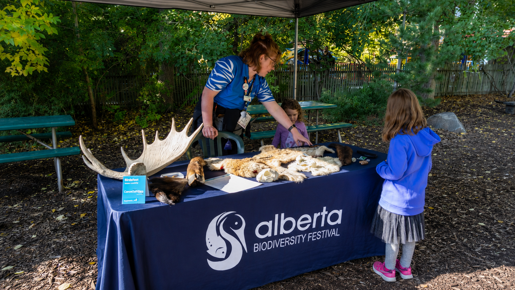 LOGO DESIGN: ALBERTA BIODIVERSITY FESTIVAL