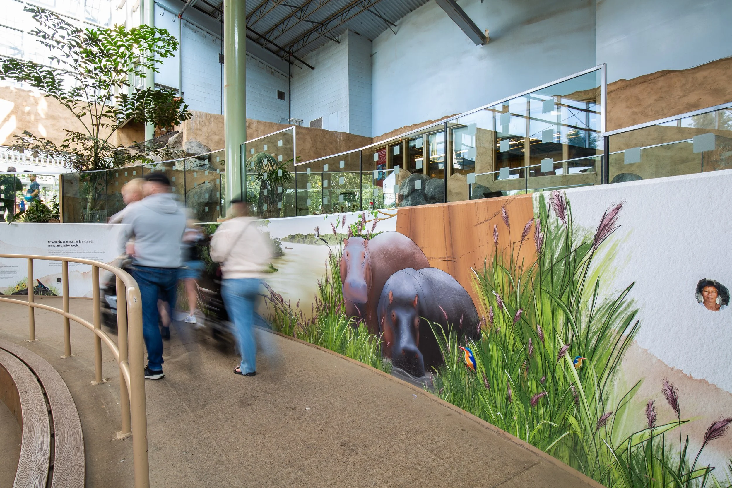 Interpretive Mural Design: Wechiau Hippo Sanctuary
