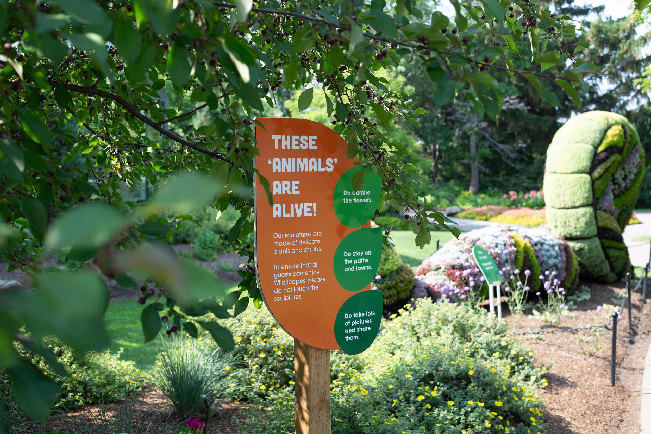 Environmental & Wayfinding System: WildScapes