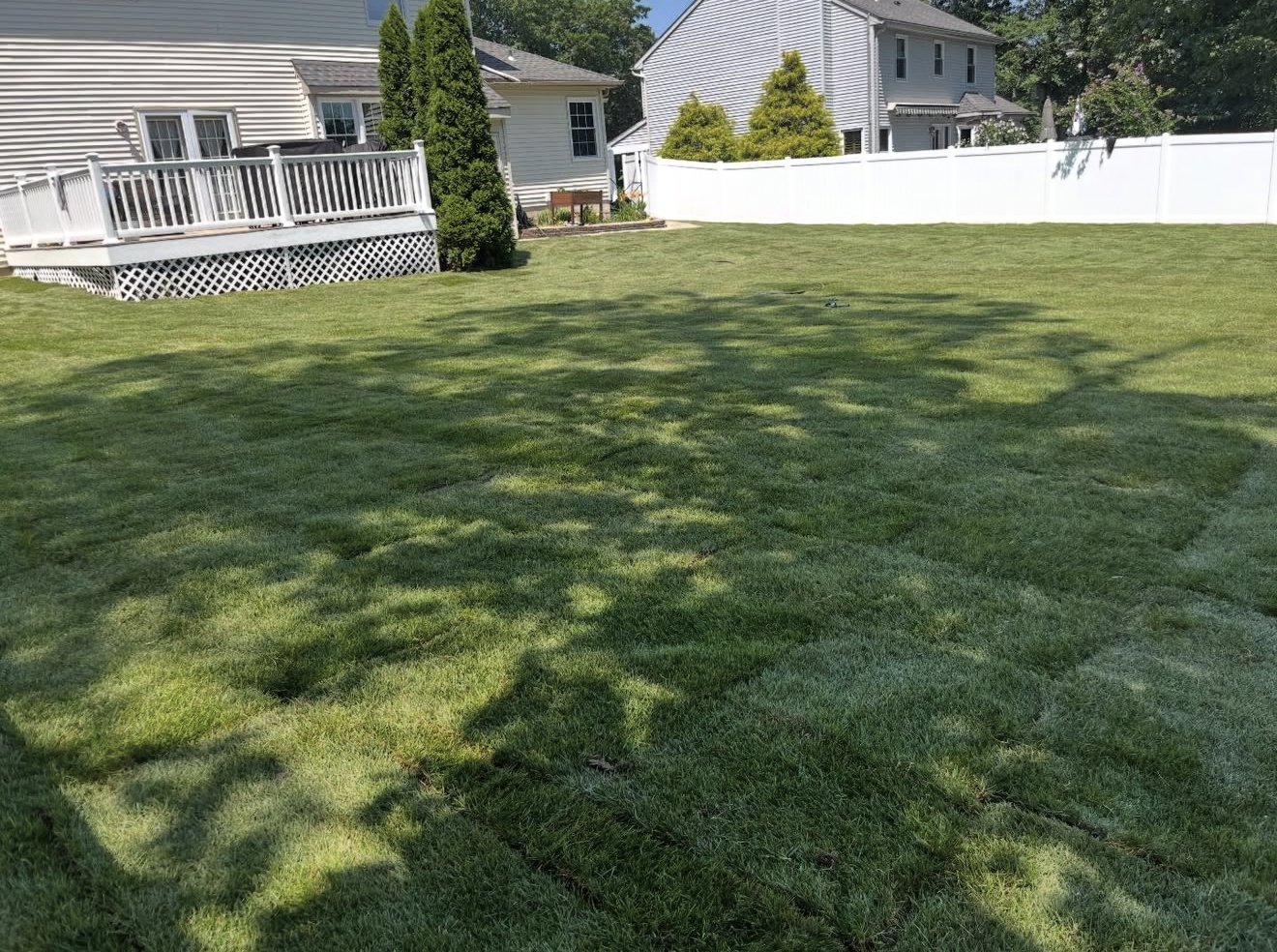 A backyard with a well-maintained grassy lawn, a white house with a deck, a white privacy fence, and a few trees providing shade.