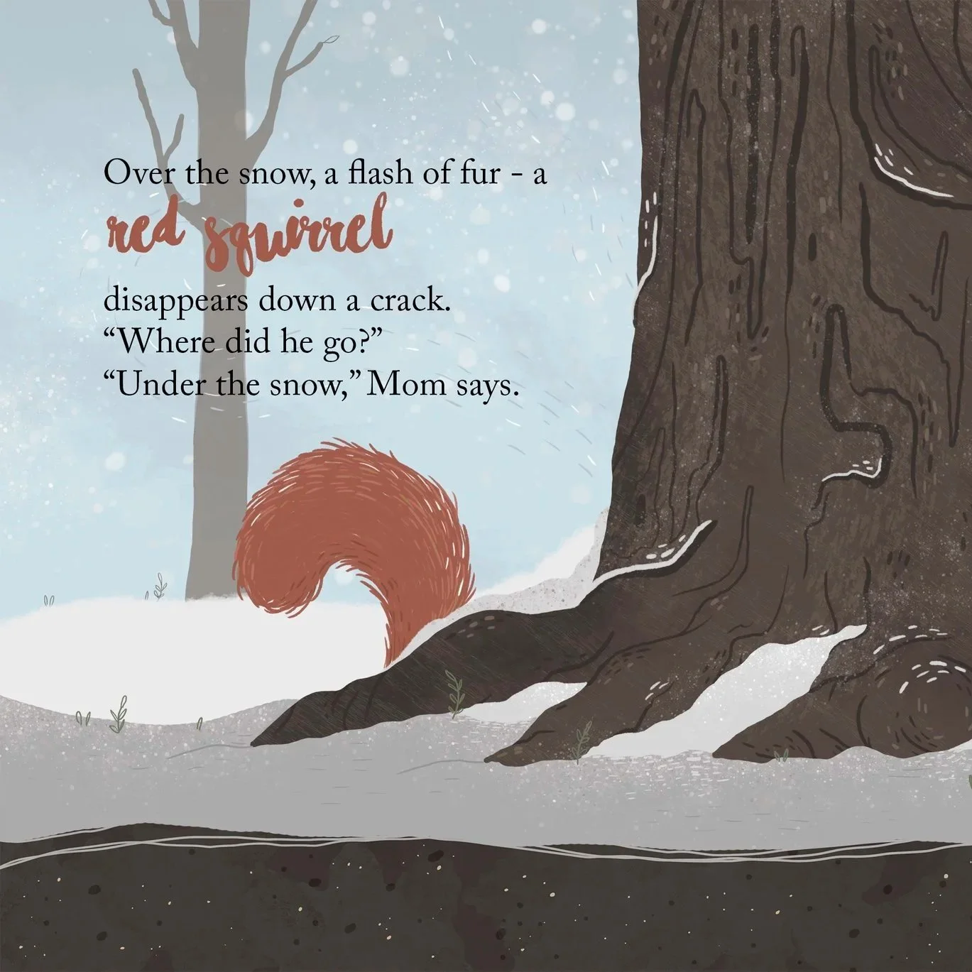 Children's Book