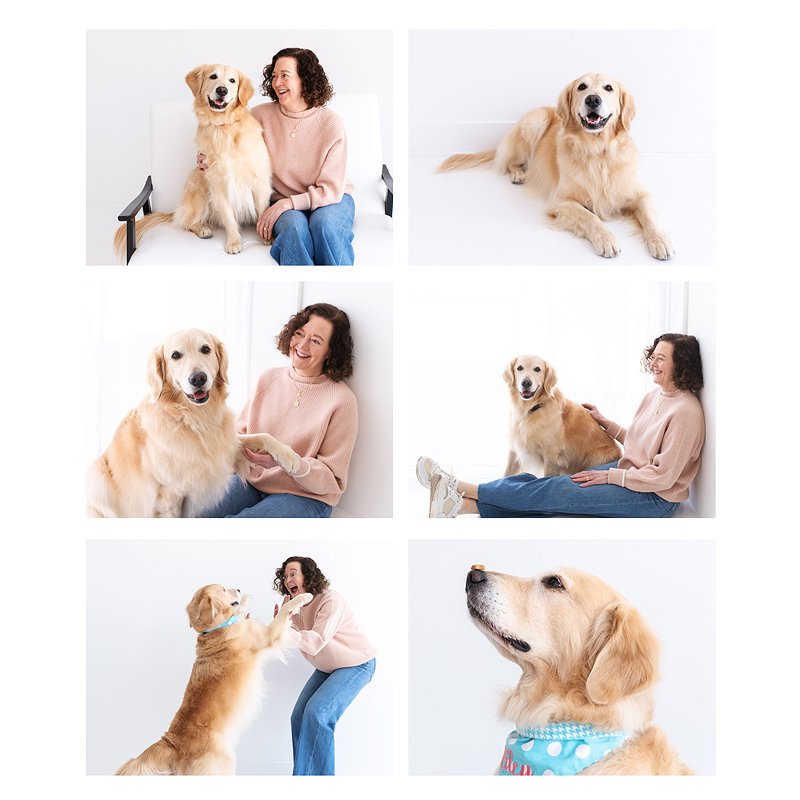 petphotographystudio-stlouis (1).jpg