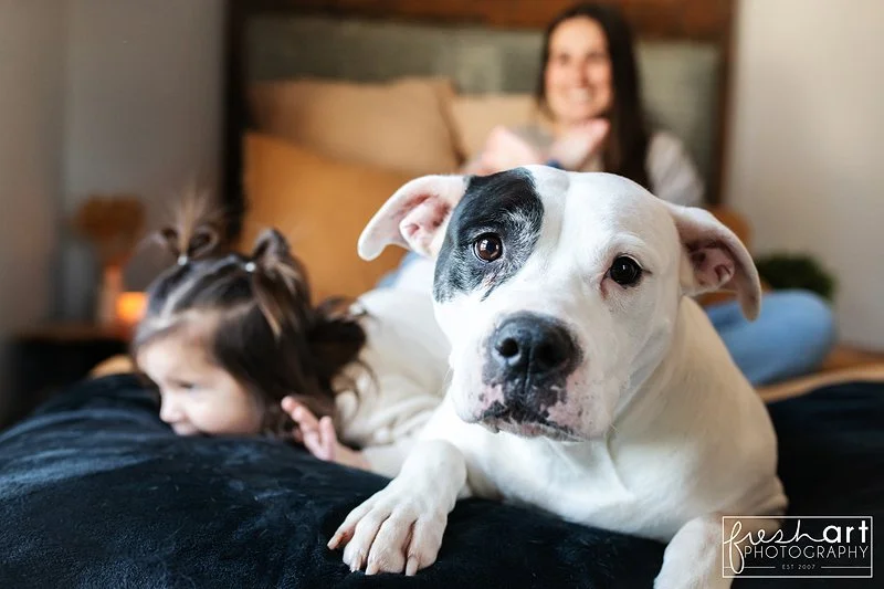 port_washington_pet_photographer.jpg