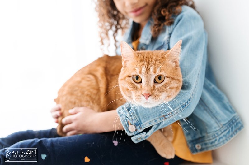 petphotographer-stlouismissouri.jpg