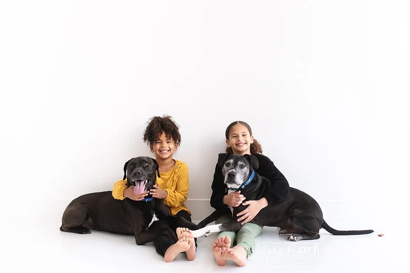 stlouis-petphotographers.jpg