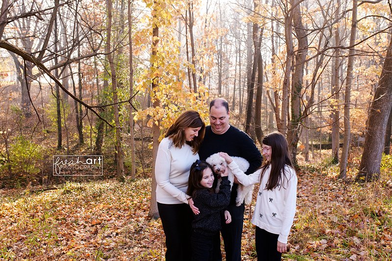 stlouis-missouri-petphotographer.jpg