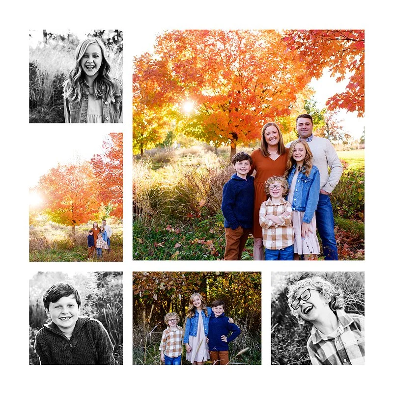family-photography-studio-stlouis.jpg