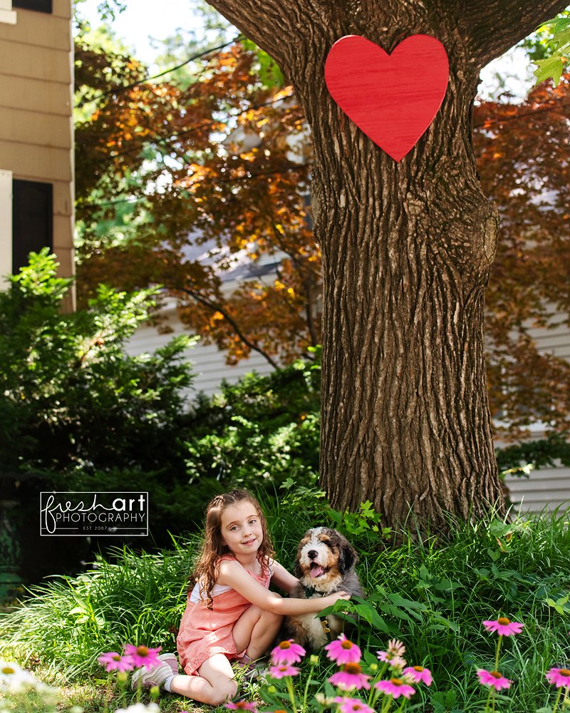 childphotographerportwashington.jpg