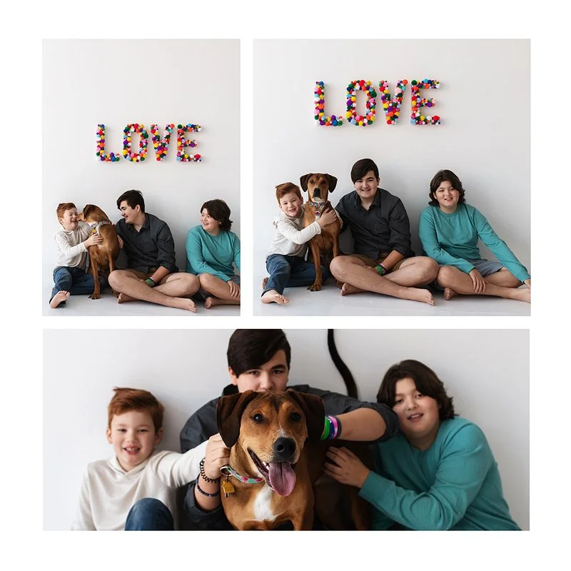 petphotographystudio-stlouis.jpg