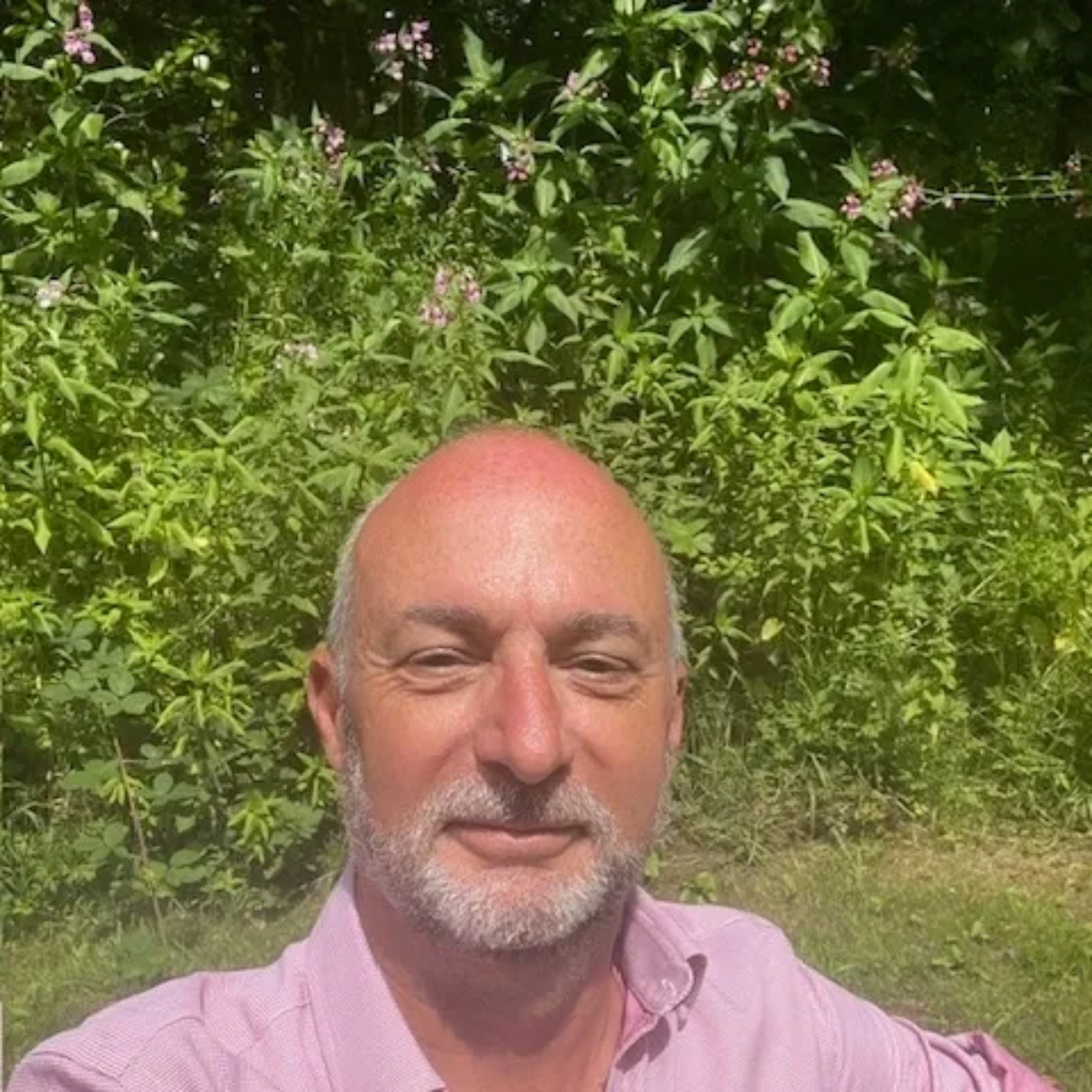 A man with a bald head and white beard smiling and looking at the camera, standing outdoors in front of green bushes with small pink flowers, wearing a pink collared shirt.
