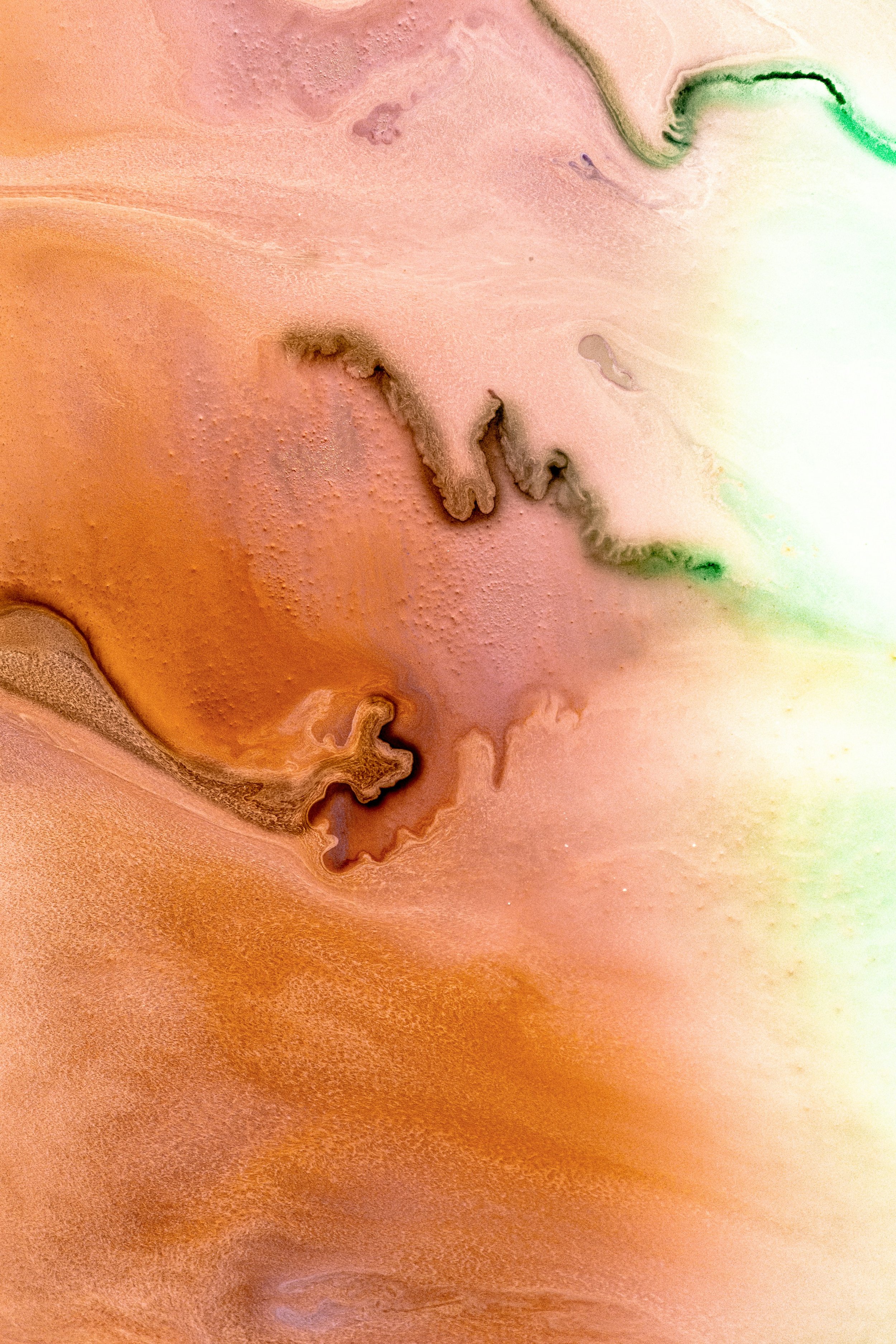 Abstract close-up of organic, branching textures in warm and green tones, representing the diversity of neurodivergent minds