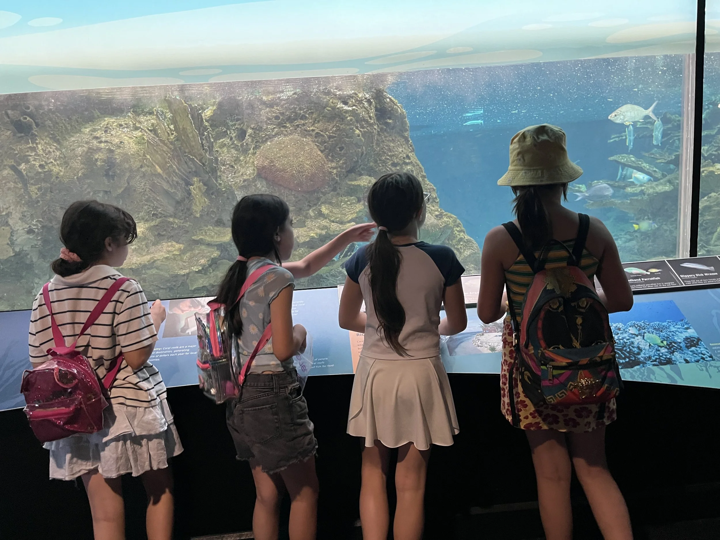 aquarium trip.jpg