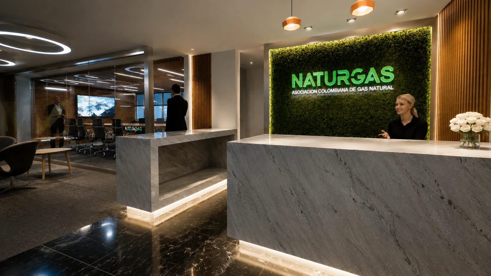 Naturgas_DM1.webp