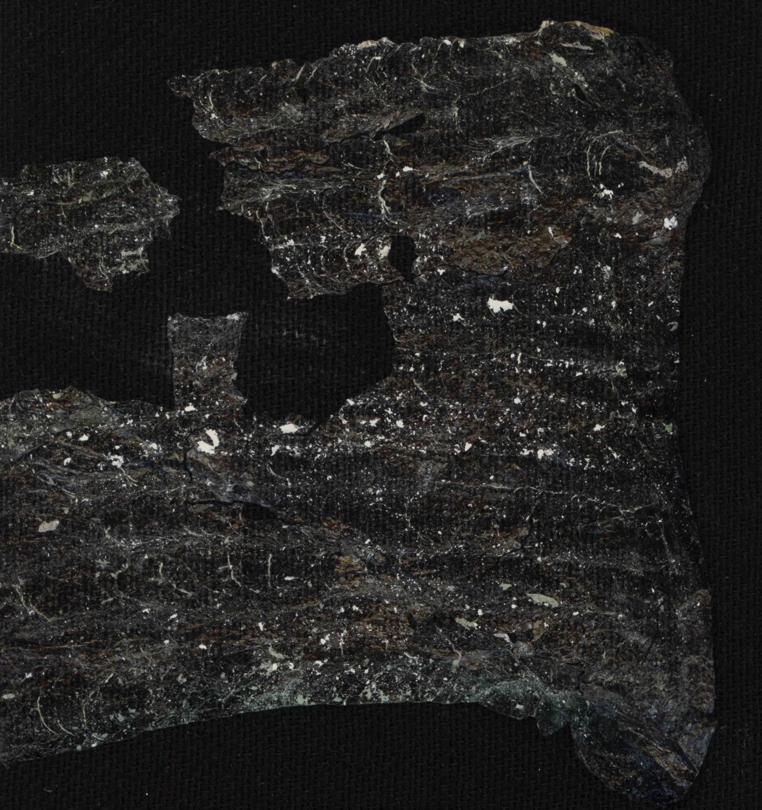 Fragments of black obsidian with white veining on a black background.