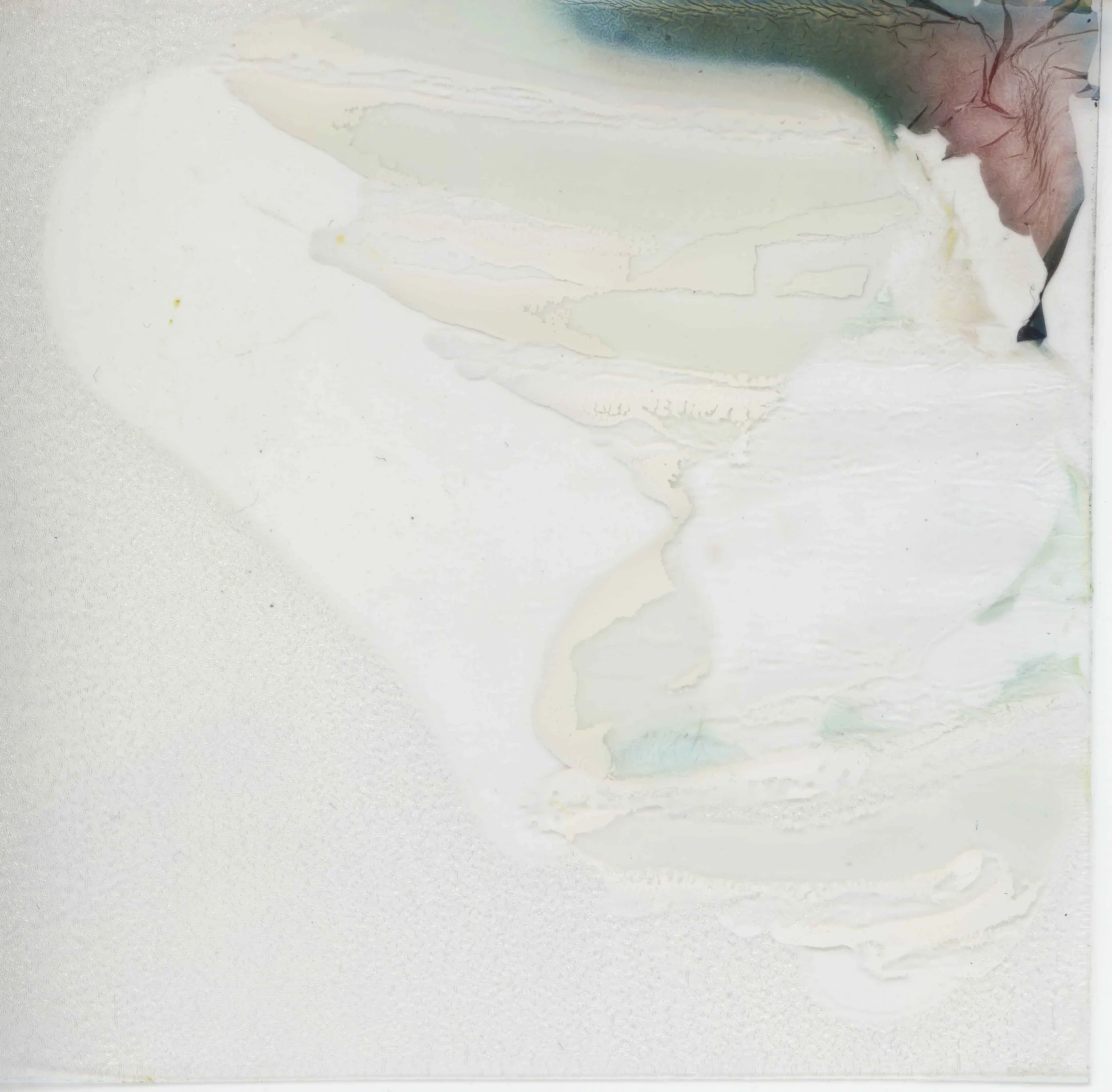 Close-up of a person's hand using a brush to apply pale, white cleaner or paint on a white surface.