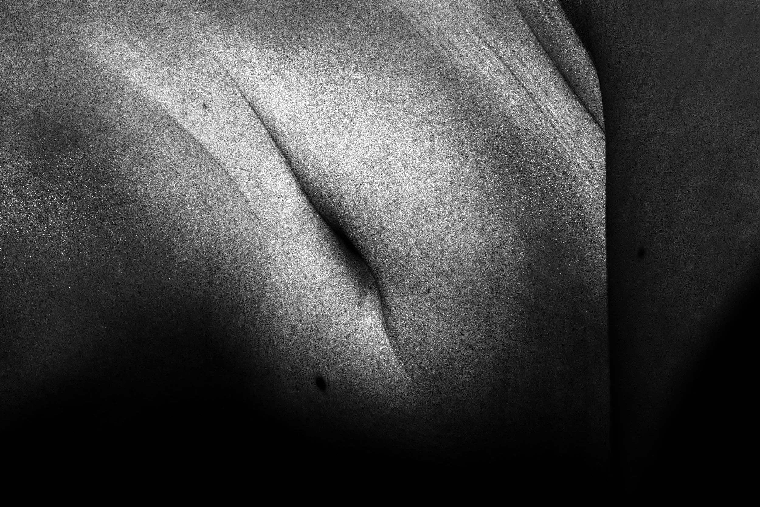 Close-up black and white photograph of a textured surface, possibly a leaf or petal, with smooth curves and subtle light and shadow variations.