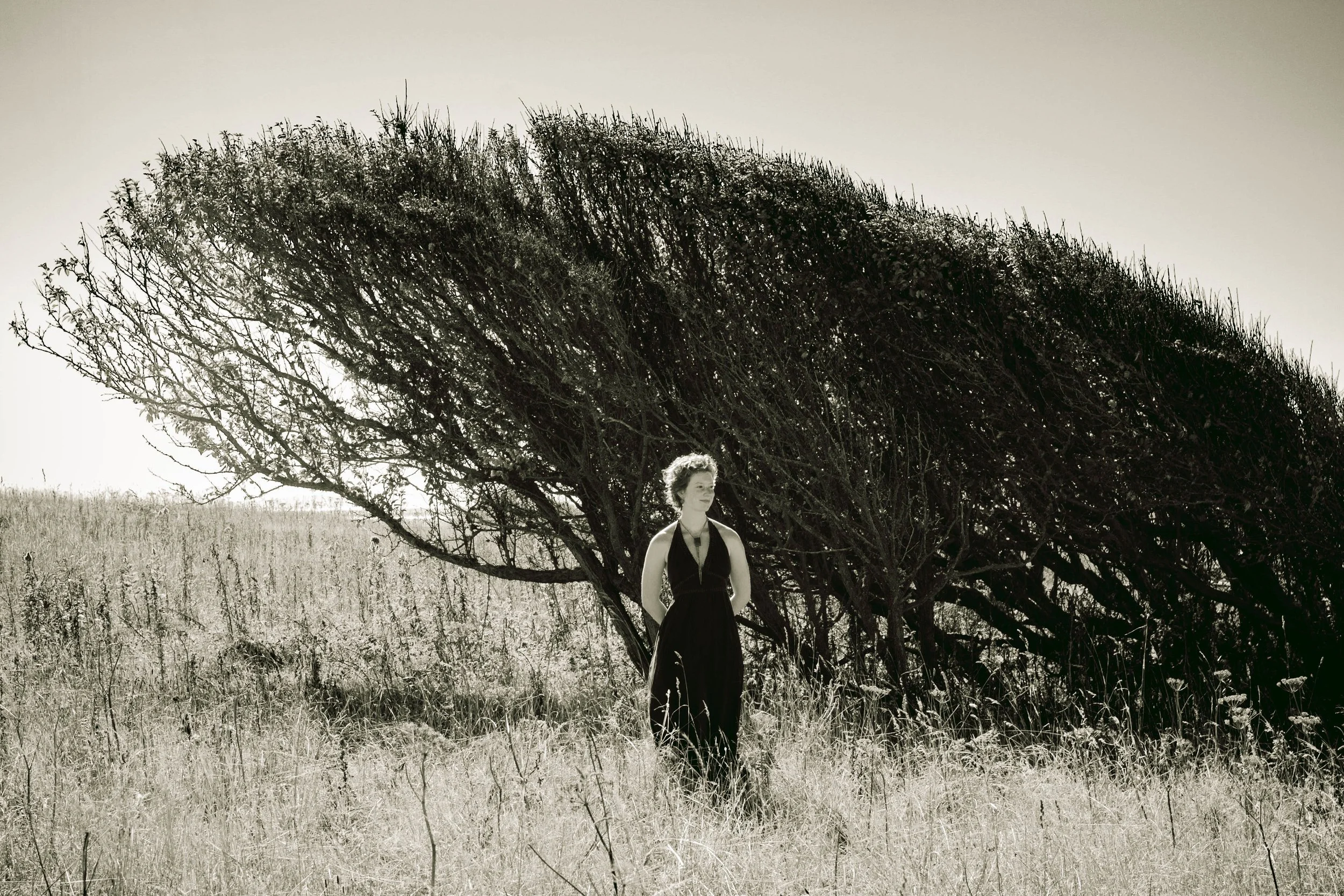 A woman in a black dress standing in a field of tall grass near a large, leafless tree under a clear sky.